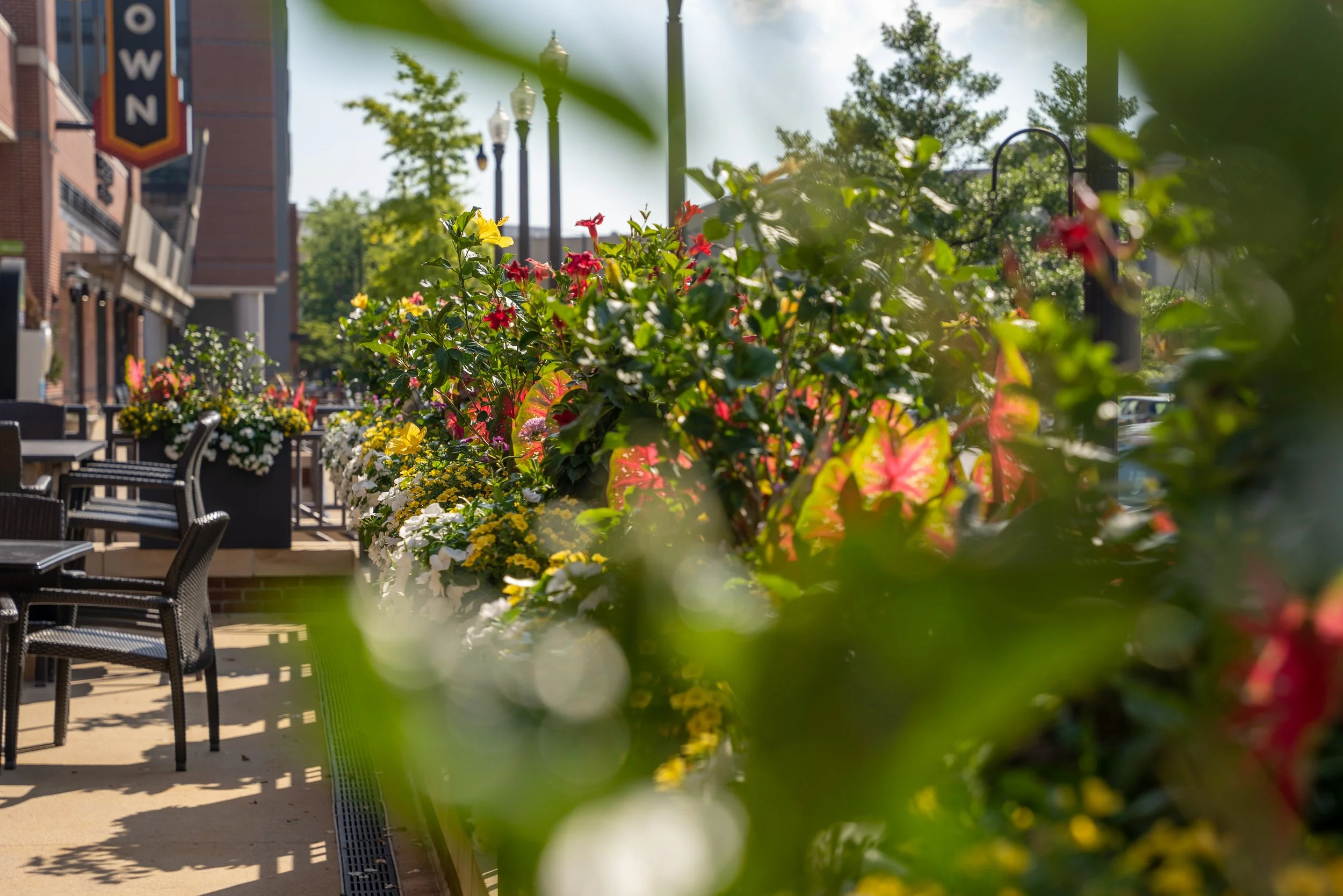 Colorful flower planters and outdoor chairs on a sidewalk patio, with storefronts and trees in the background, bright and sunny daytime.