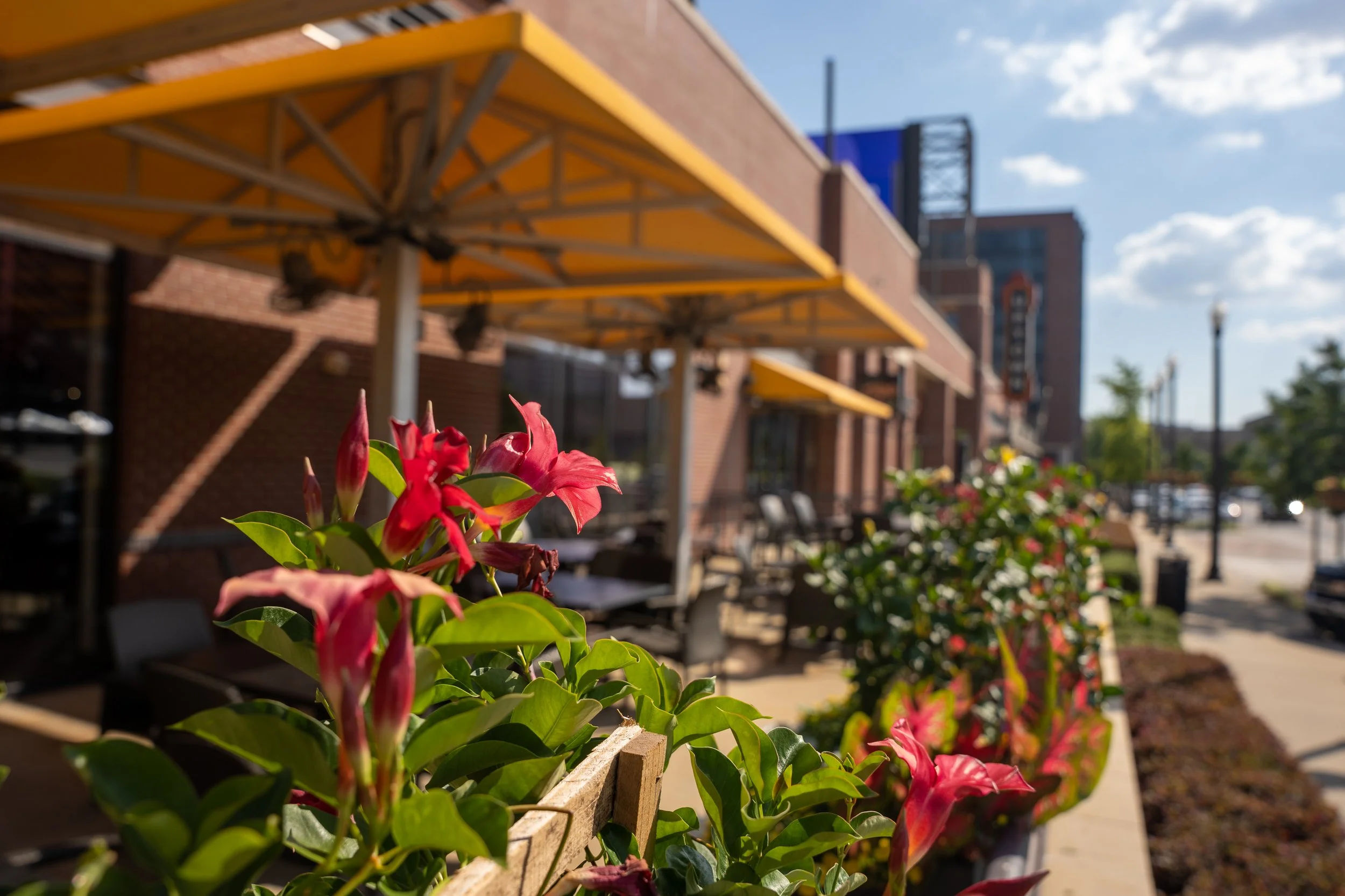 Pink flowers and green leaves in planters outside a brick building with yellow awnings, bench seating, and a sidewalk under a partly cloudy sky.