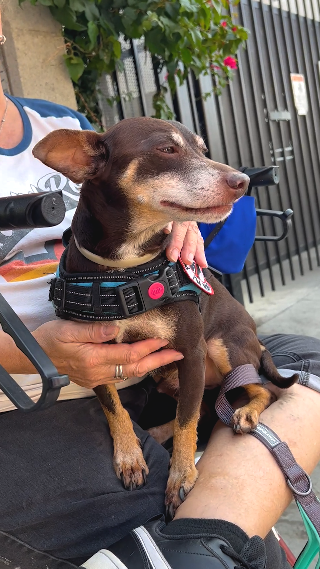 Peter Chocolate &amp; His Mom