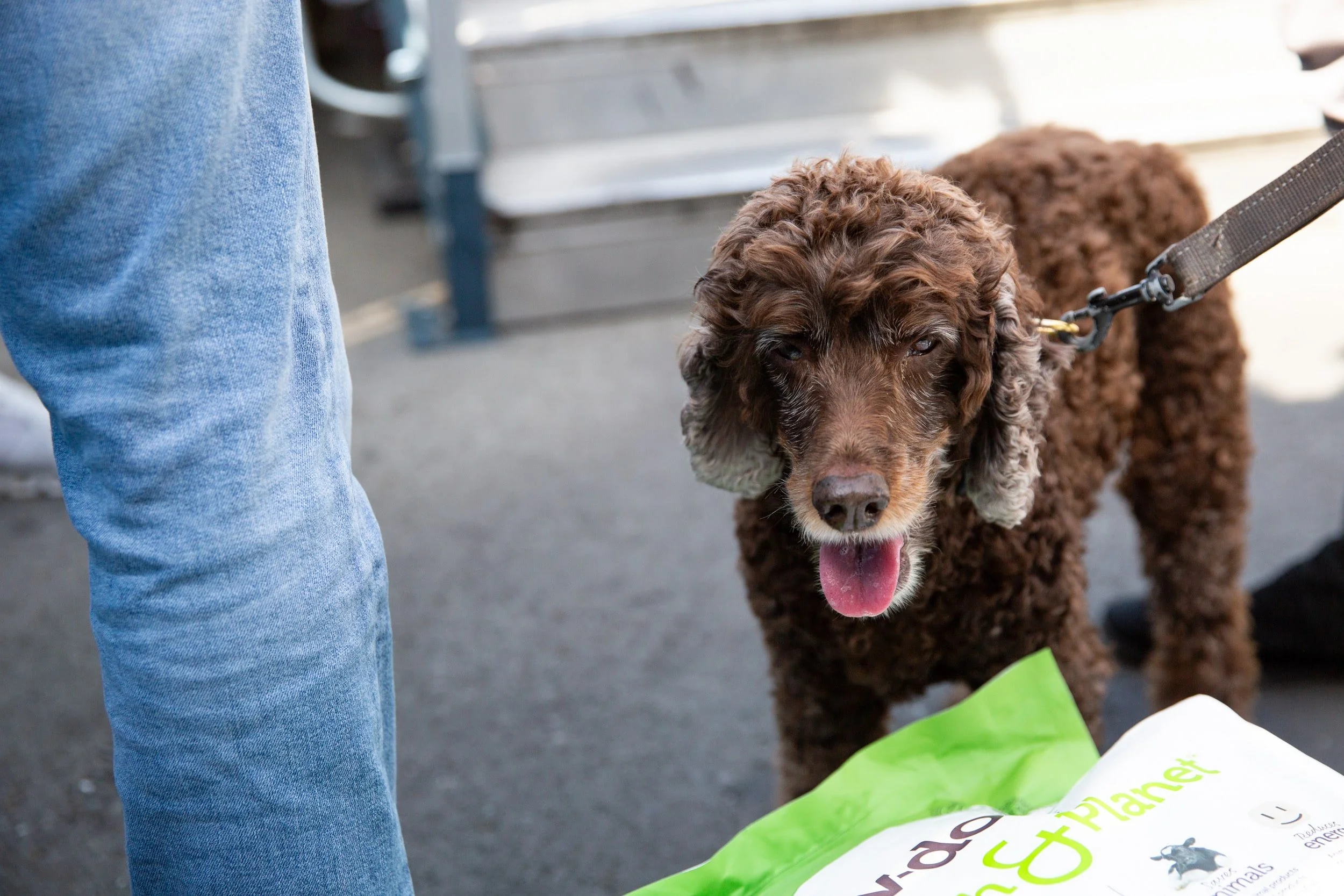 Skid Row Pantry 5-min.jpeg