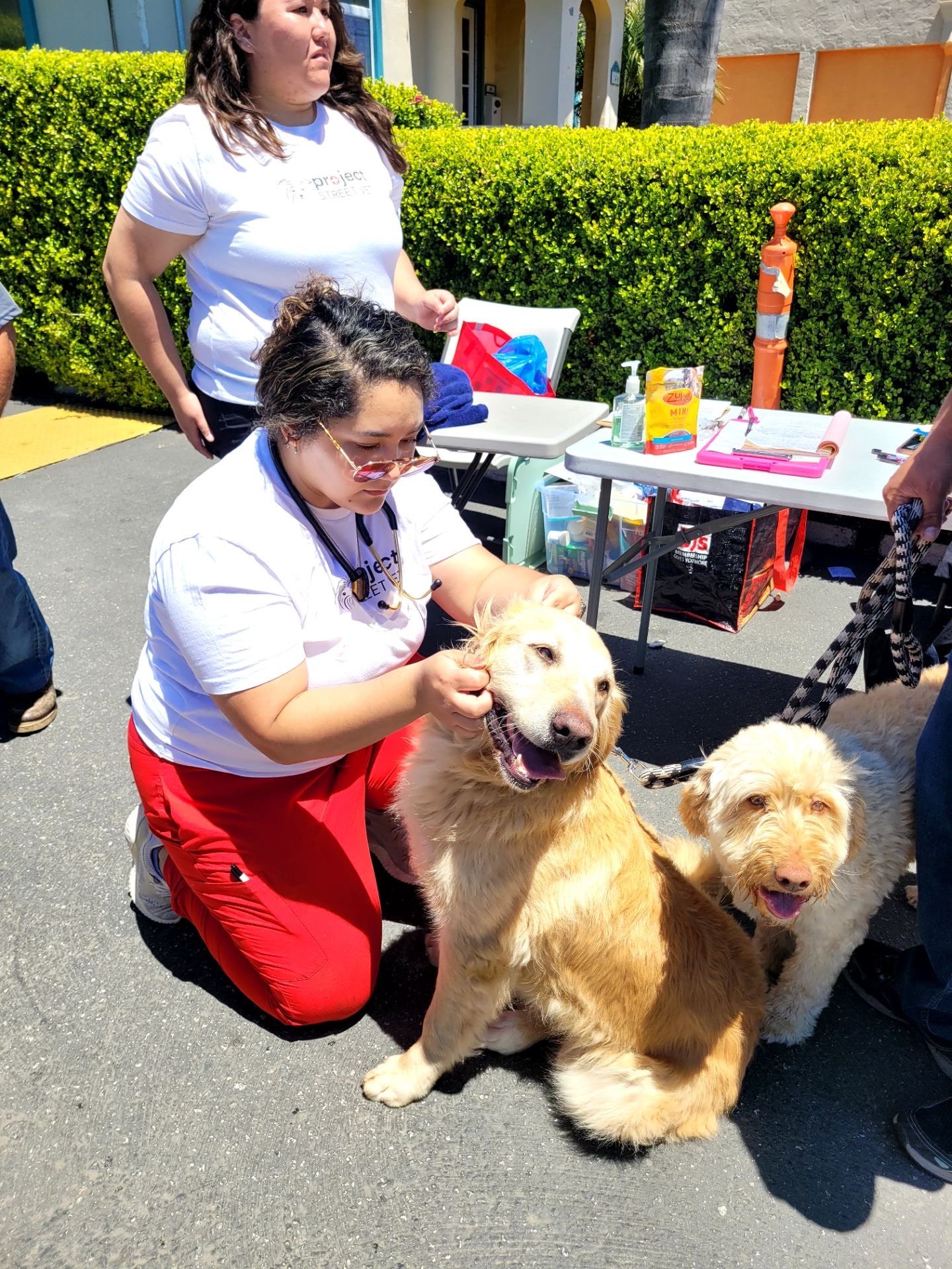 PSV - Watsonville 12.jpeg