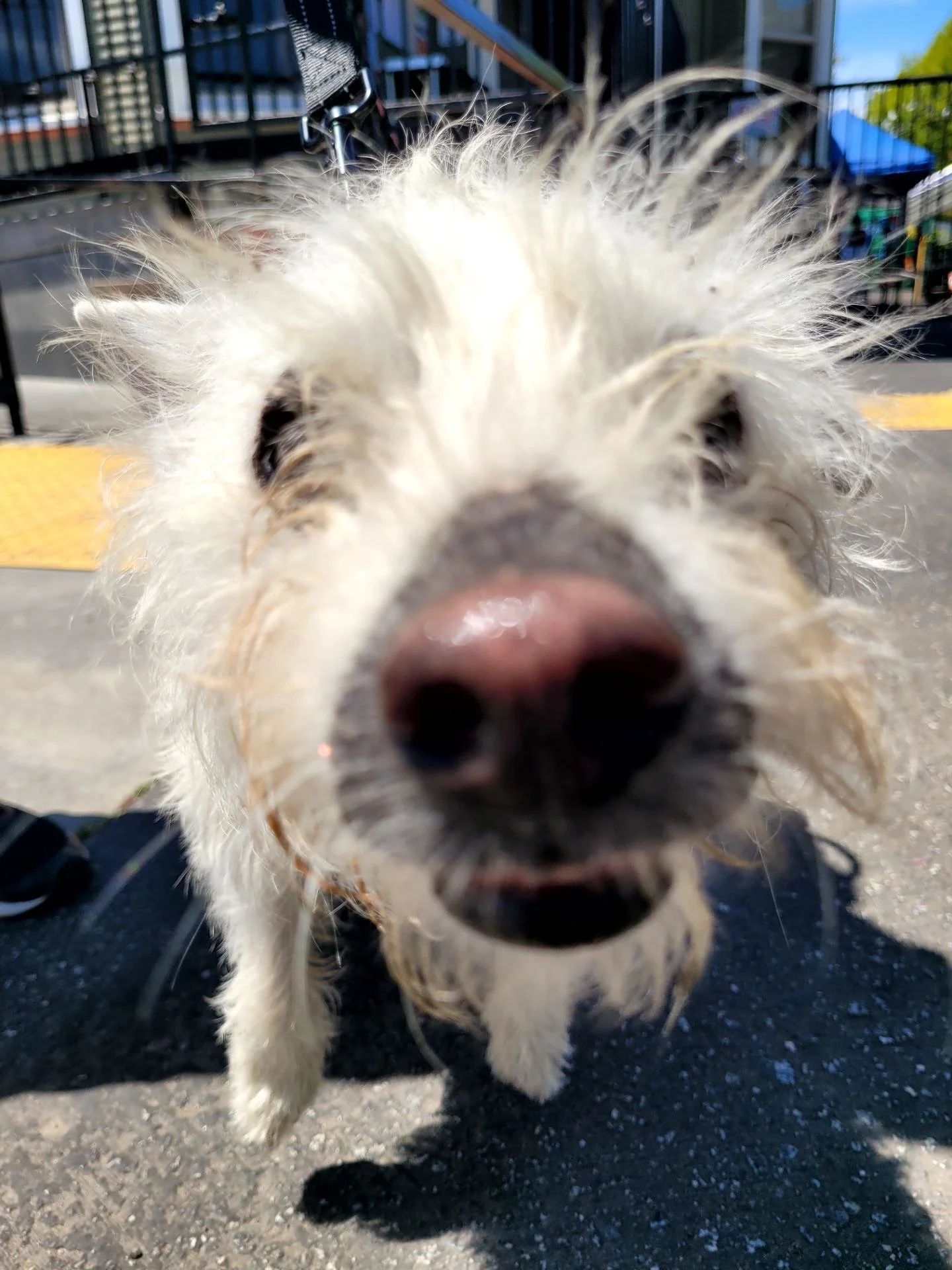 PSV - Watsonville 5.jpeg