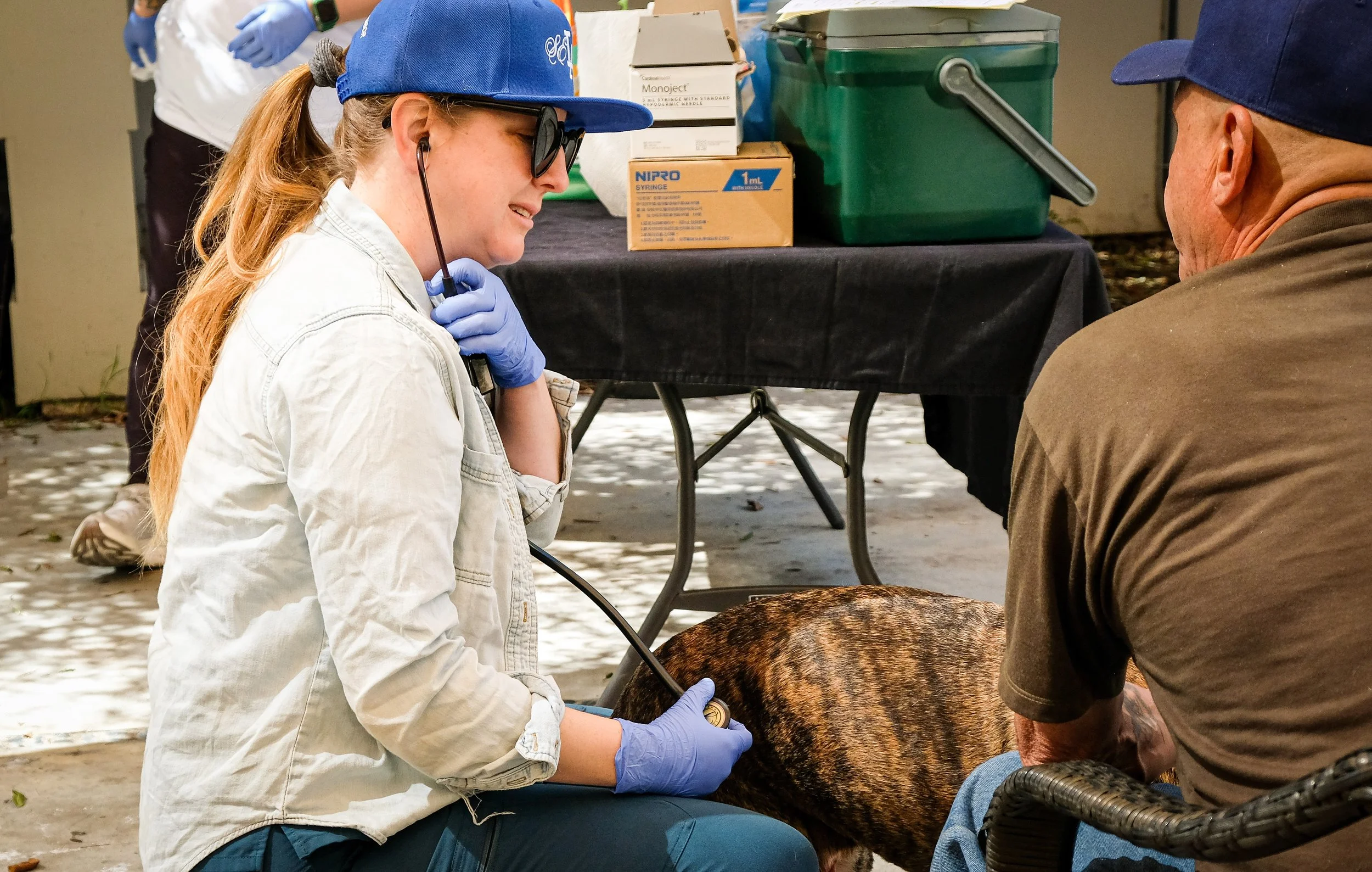 Dr. Bridgid Twomey in blue hat petting dog with volunteer