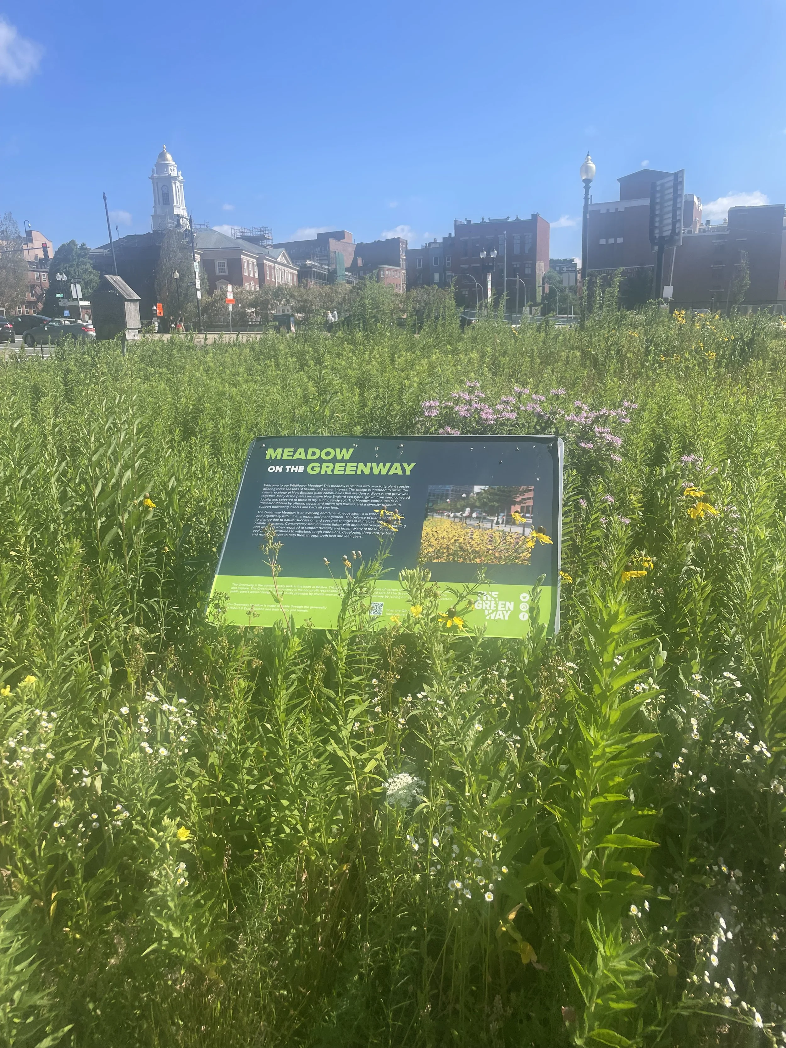 What’s the difference between building a park and building a place people actually love?