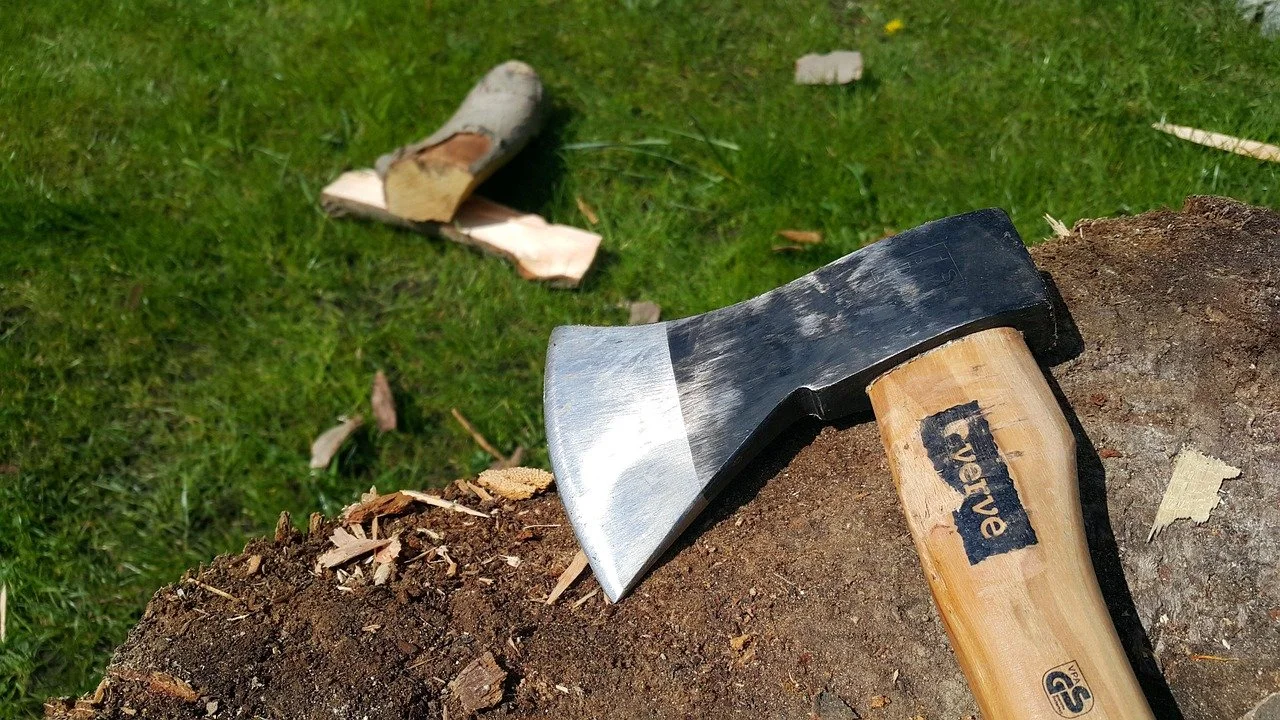 Axe Wood Chopping