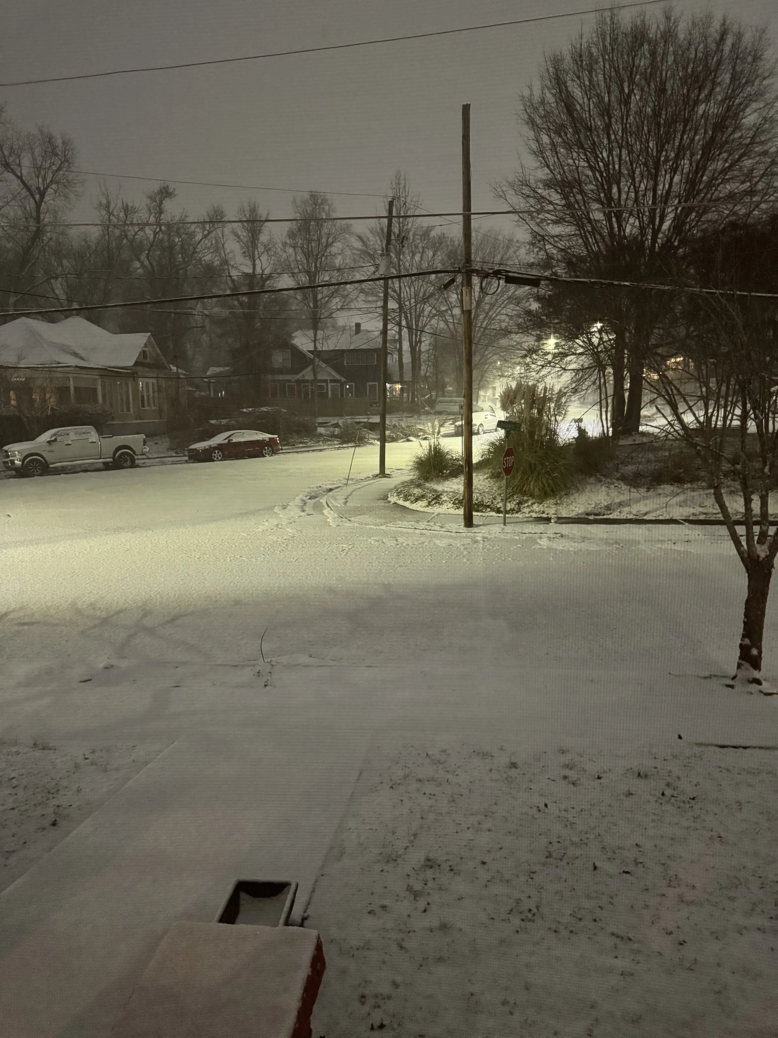 A quiet residential street at night covered in fresh snow, streetlights glowing softly, with bare trees and houses in the background.