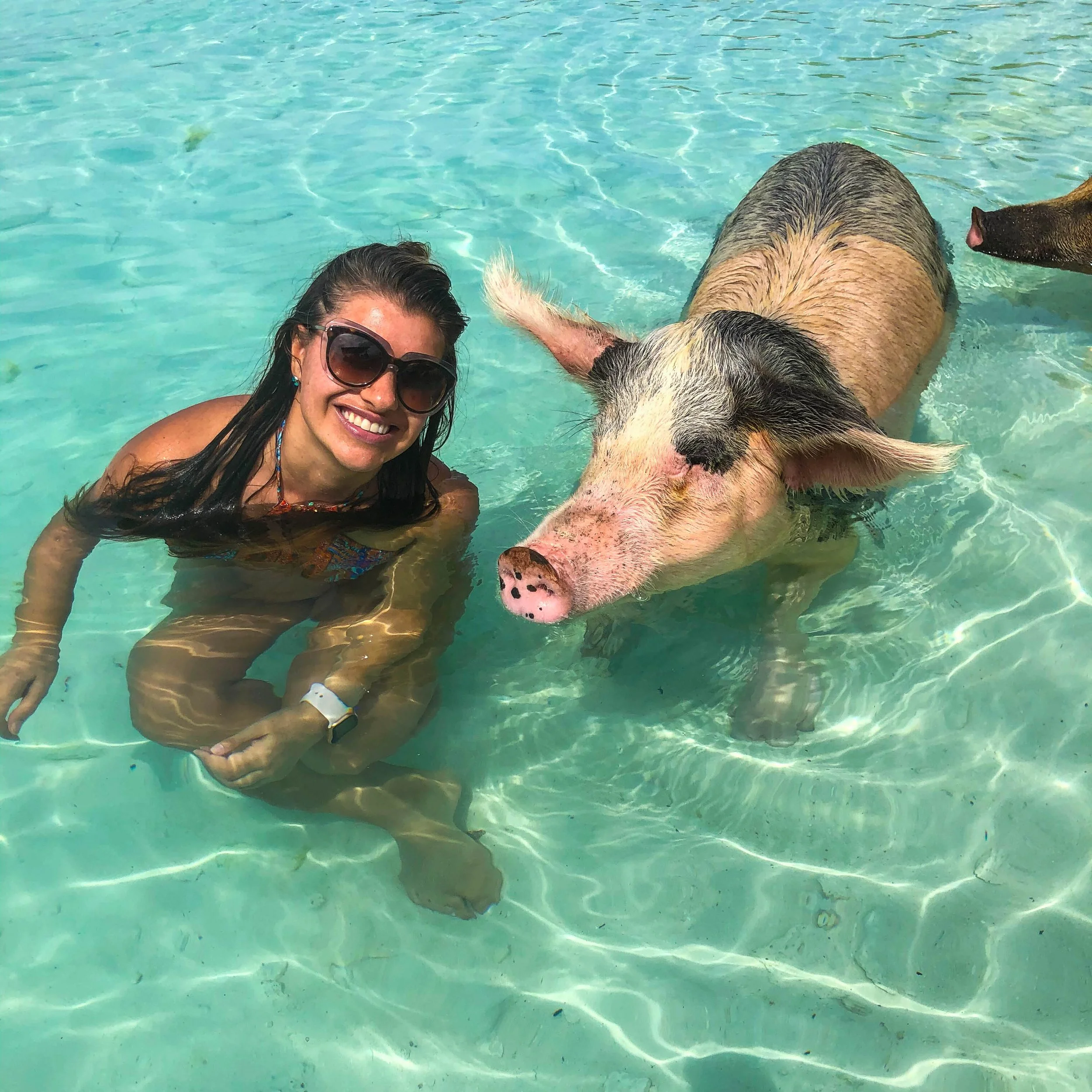 A woman in sunglasses and a swimsuit smiling while swimming in clear water next to a pig submerged up to its shoulders.