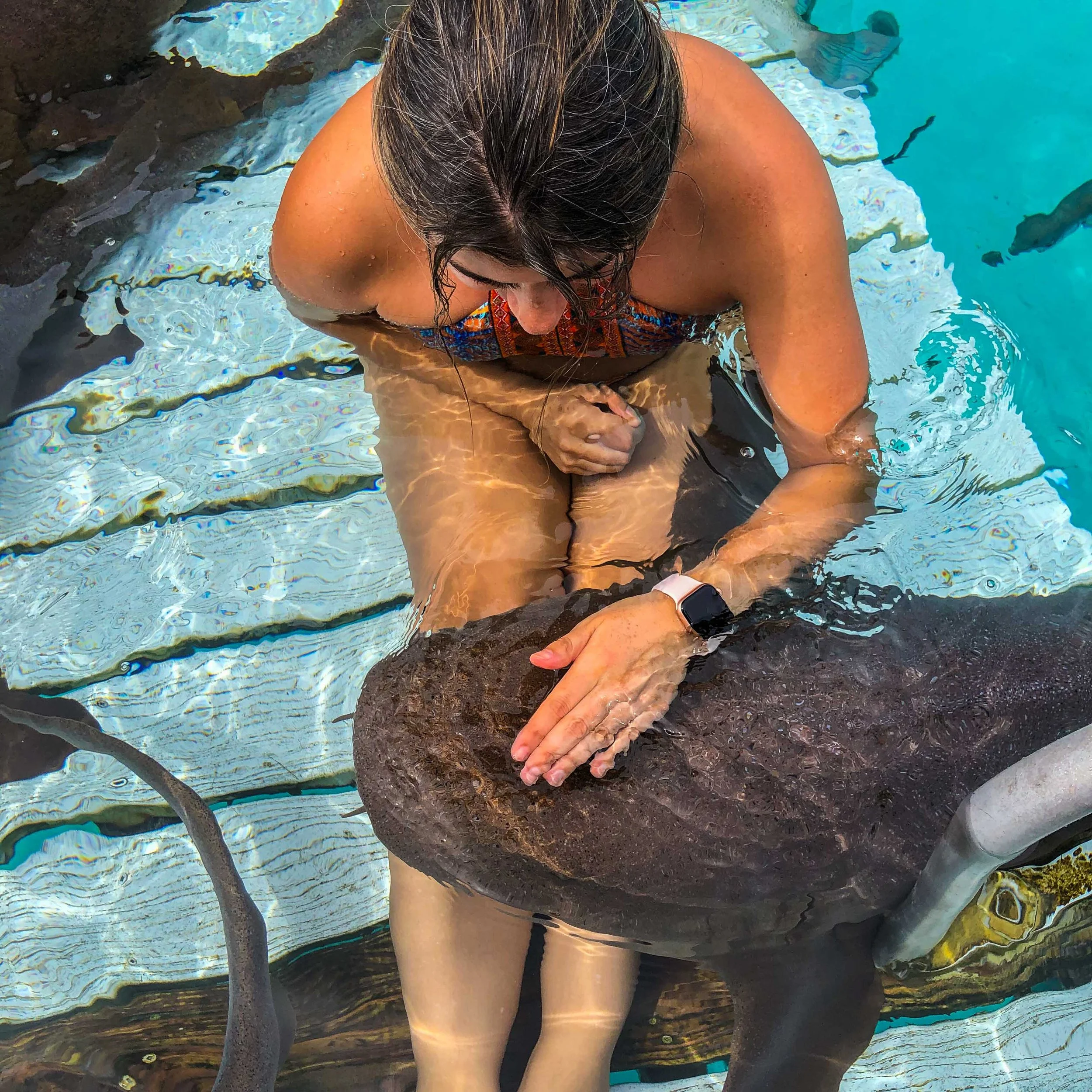 woman sitting on submerged dock petting a shark