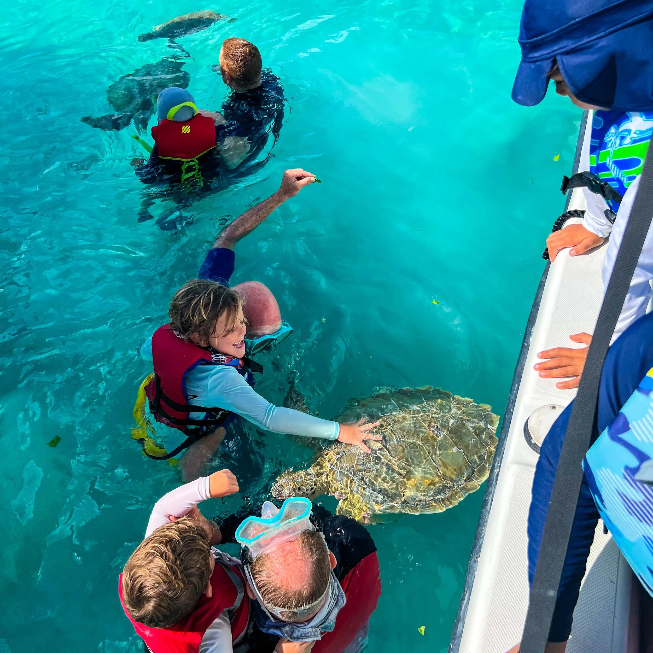 People, including children and adults wearing life jackets, gather around a large turtle in a pool, observing and reaching towards it.