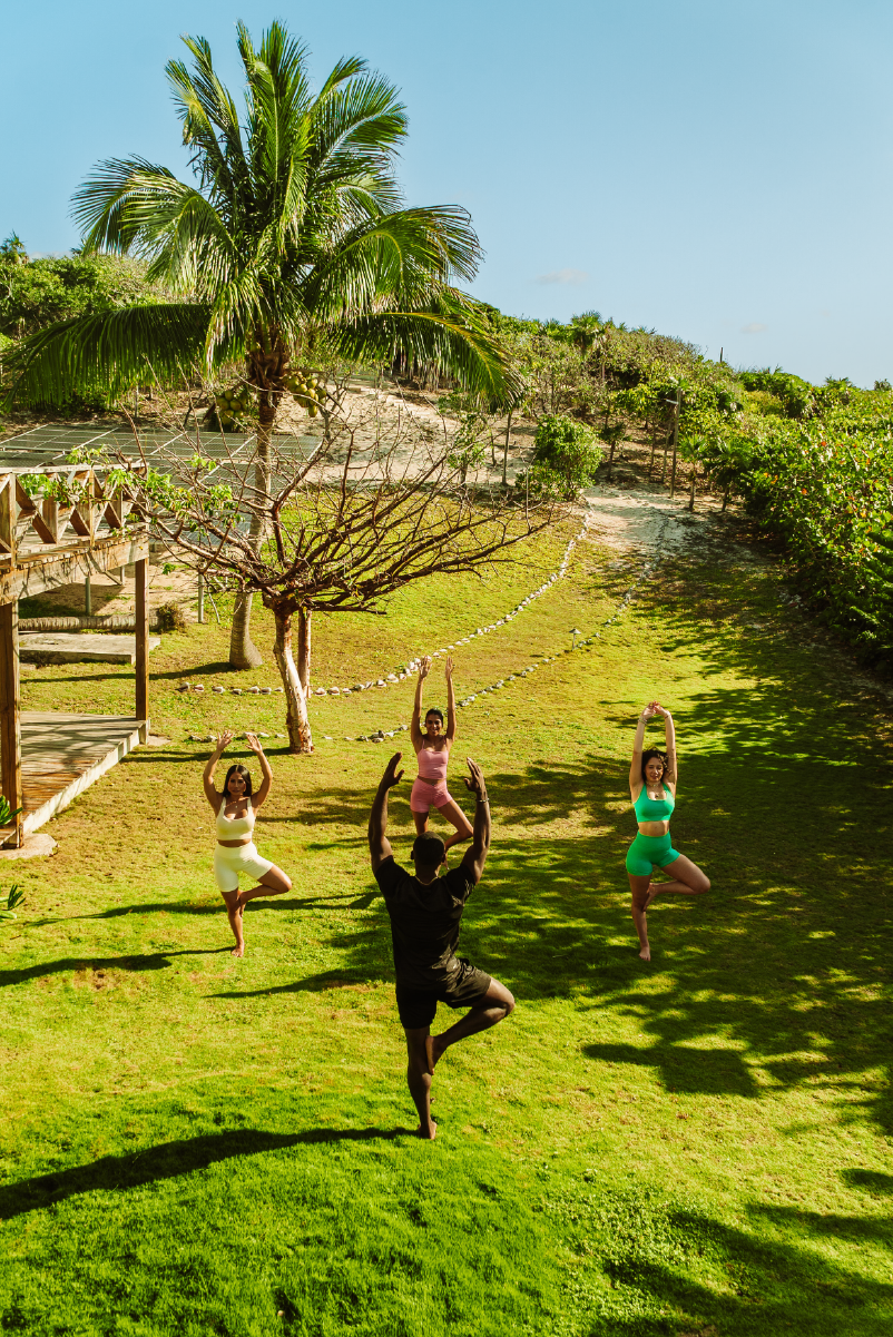Group of four people practicing yoga outdoors on a grassy yard with palm trees under a bright, sunny sky.
