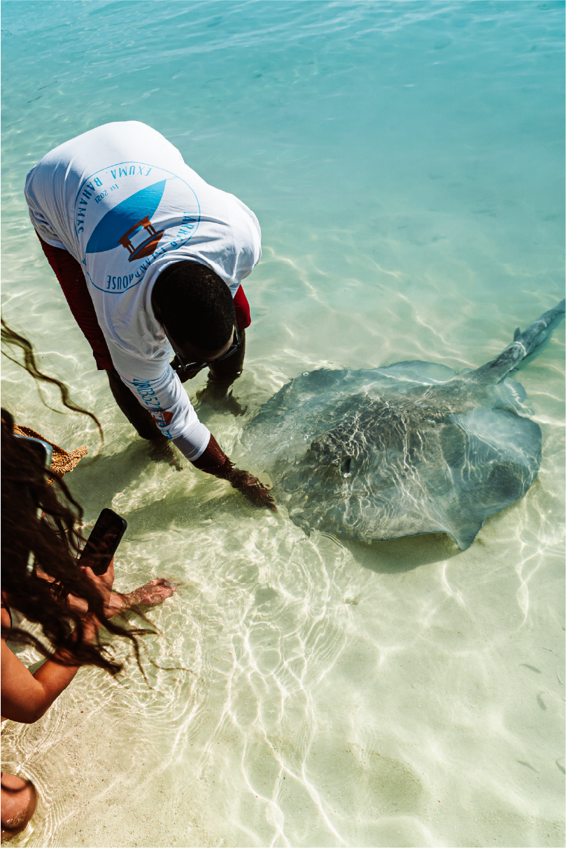 Boat Captain saying hello to a stingray