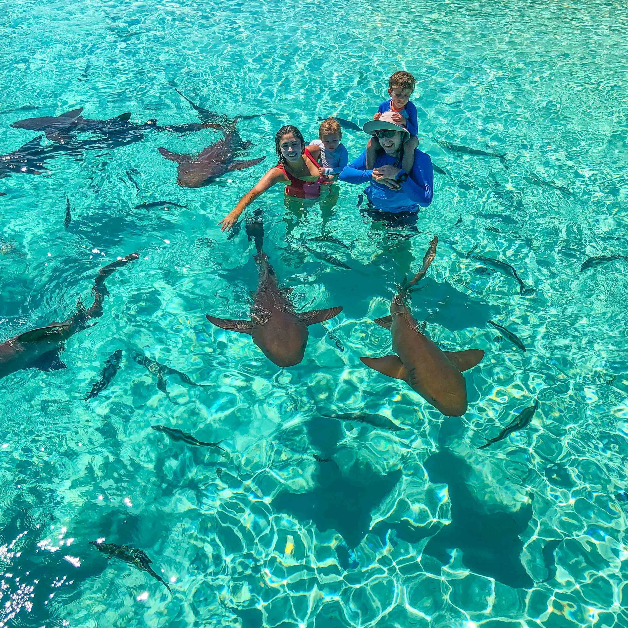 Four people, including an adult woman with children, standing in clear blue water with sharks and smaller fish swimming around them during a shark snorkel tour.