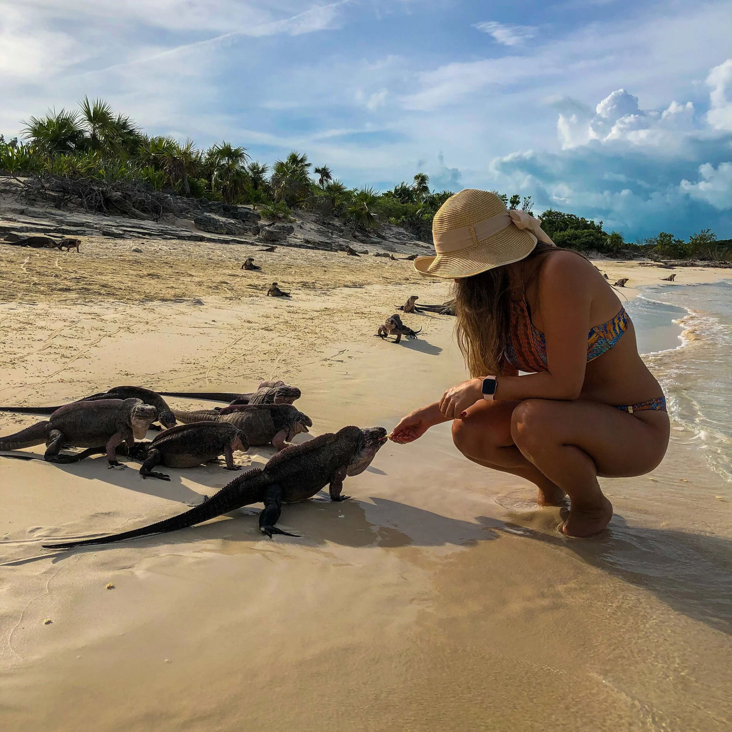 A woman crouching on a sandy beach, feeding a group of iguanas from her hand, with additional iguanas in the background and greenery on the dunes.