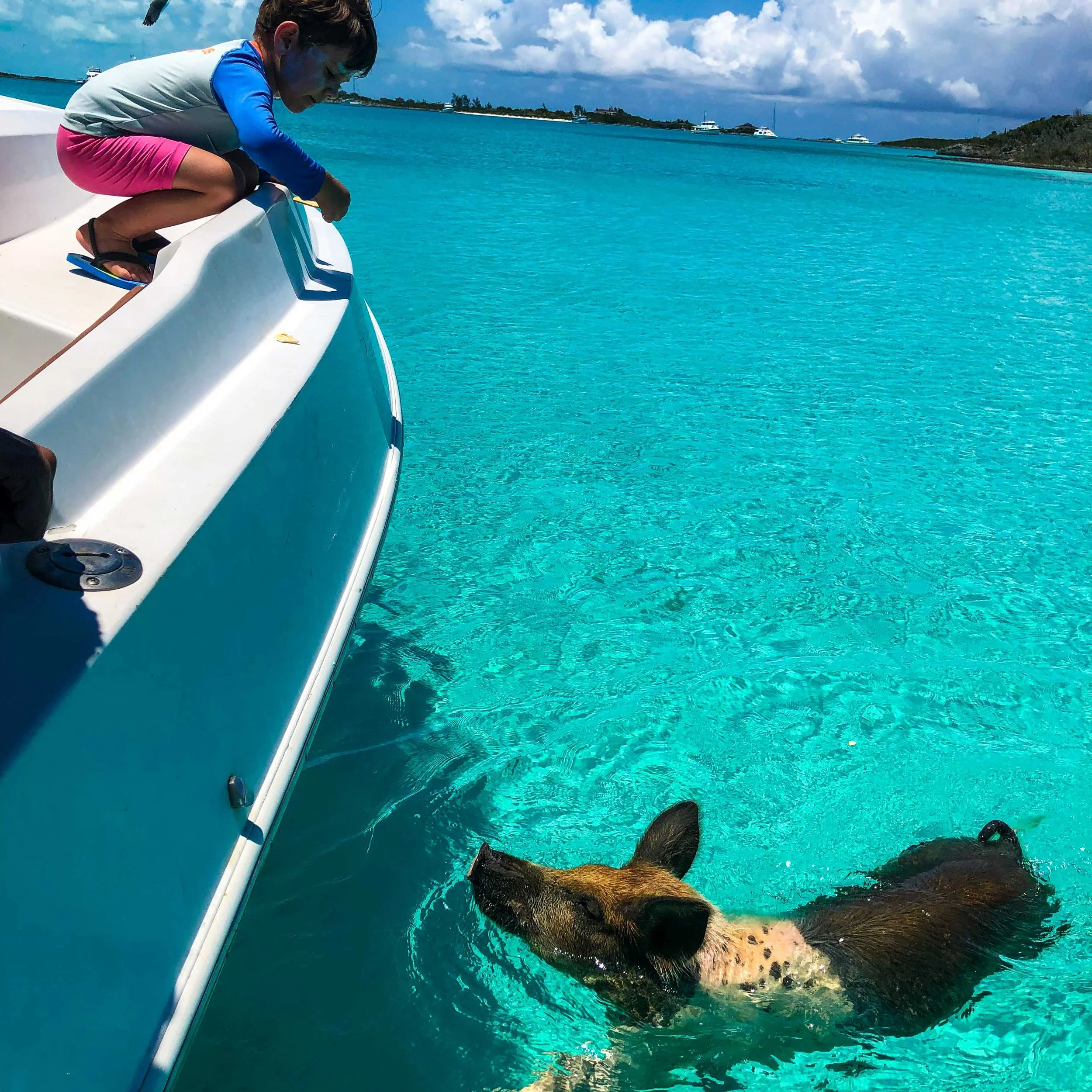 A young girl climbs onto a white boat on clear blue water while a pig swims nearby in the water.