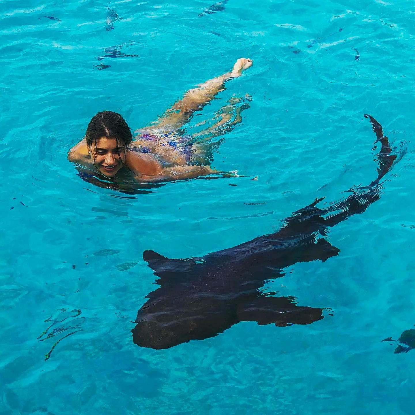 A woman swimming in a pool with a black dog.