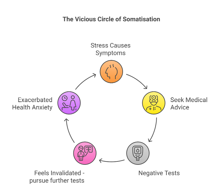 A flowchart illustrating the cycle of somatization, including stress causing symptoms, seeking medical advice, negative tests, feeling invalidated, and exacerbated health anxiety.