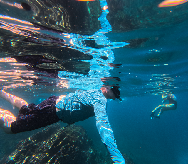 GPTempDownload copy 2 Medium.png