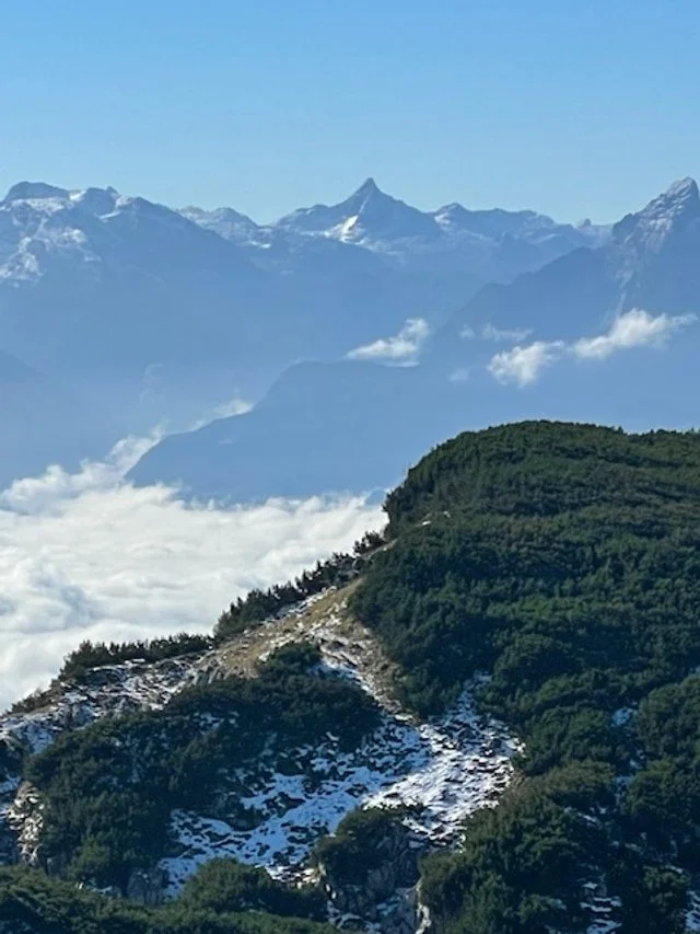 Creative Bloom: Returning to Yourself in the Quiet Seasons