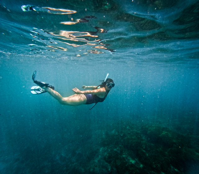 GPTempDownload copy Medium.png