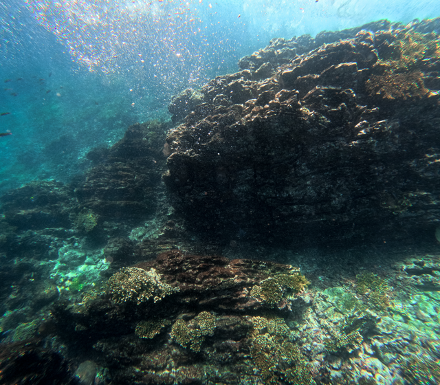 GPTempDownload-23 Medium.png