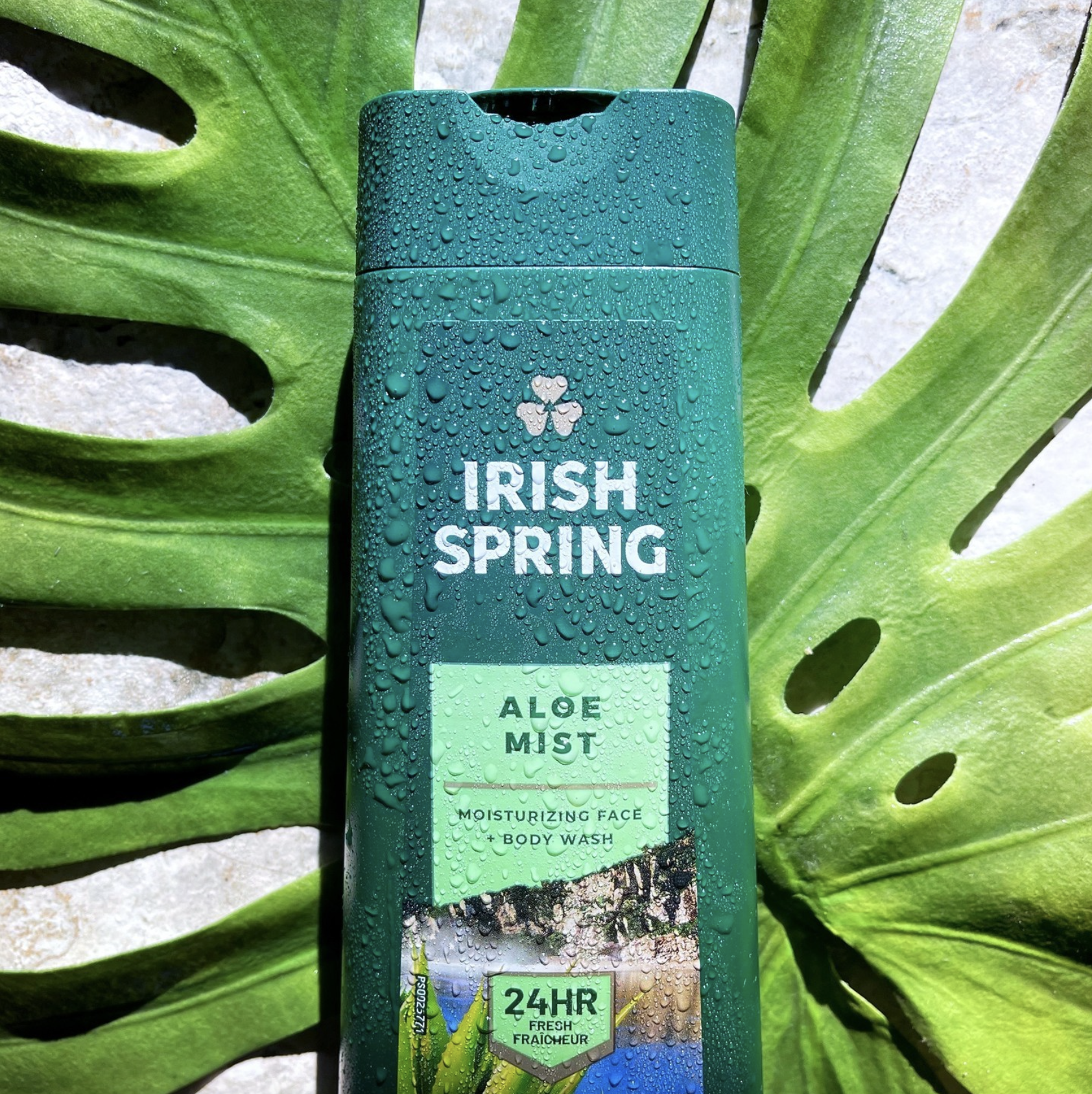 Screenshot 2024-01-24 at 5.29.26 PM.png