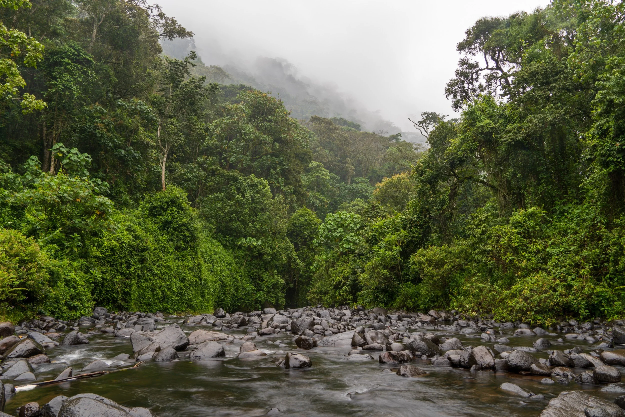 Gura River, Kenya