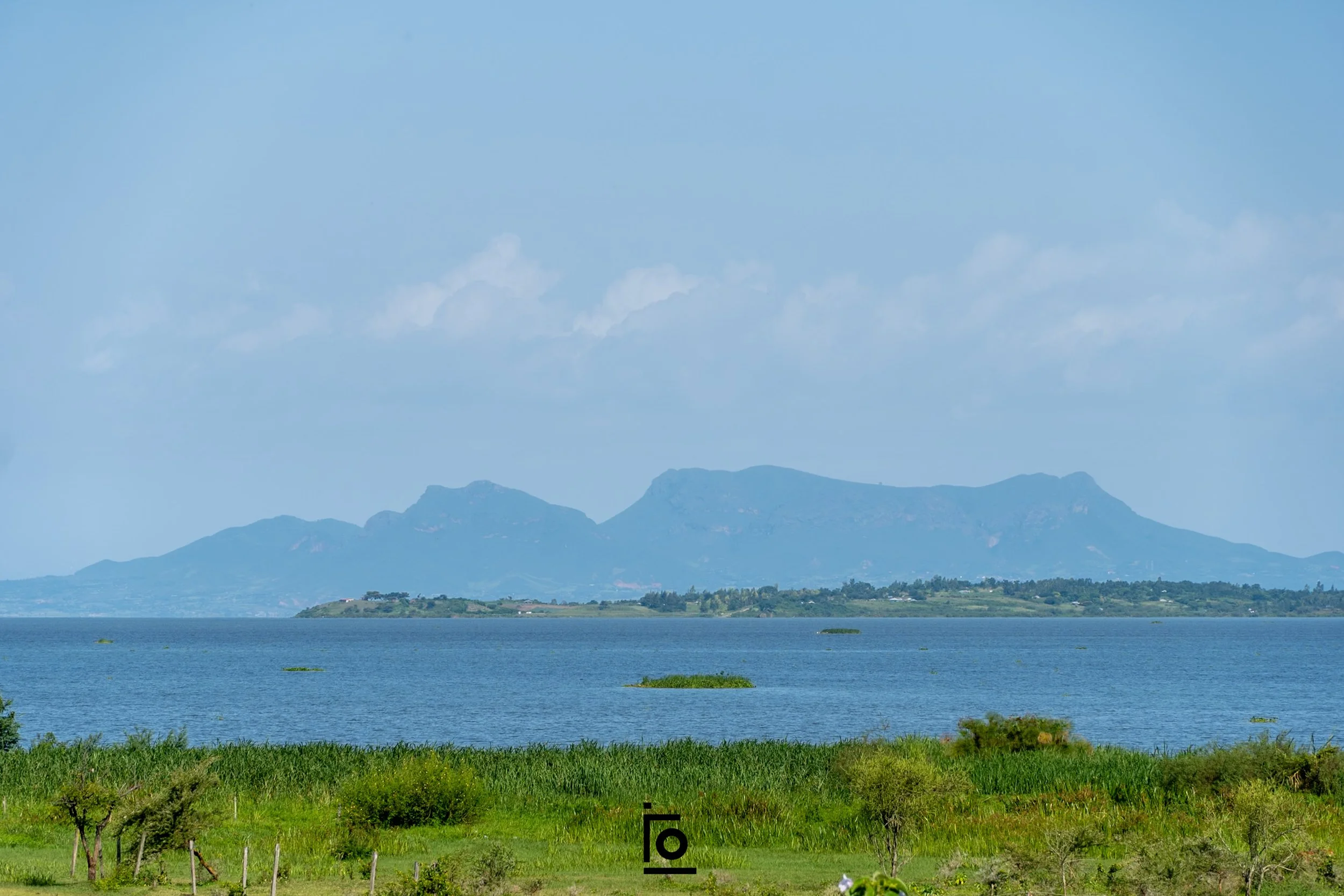 DSC00708.jpg