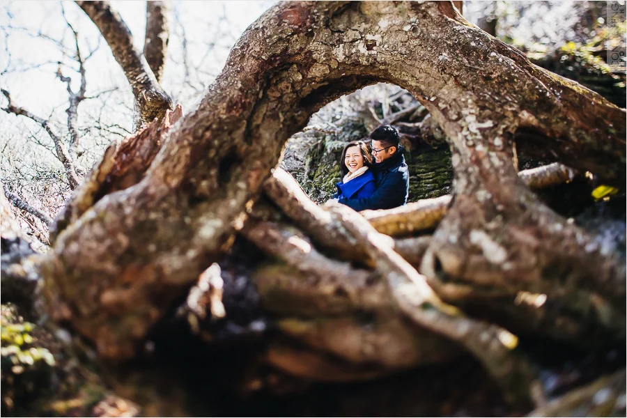 Craggy Gardens & Biltmore Estate • Asheville Engagement Photographer