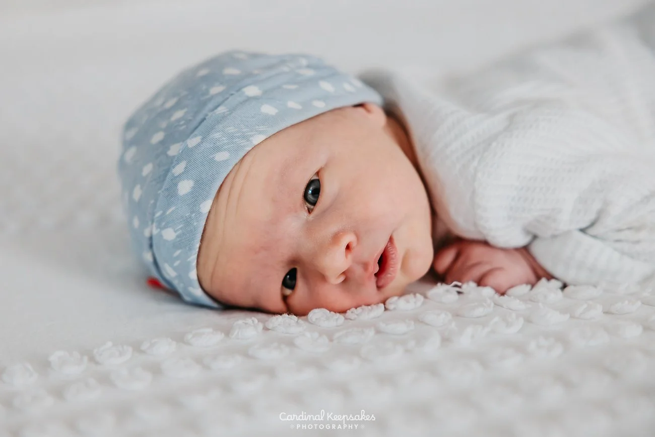 coles_260511-18.jpg