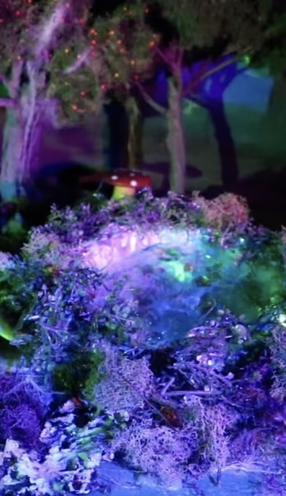 Screenshot 2026-04-25 at 7.52.46 PM.png