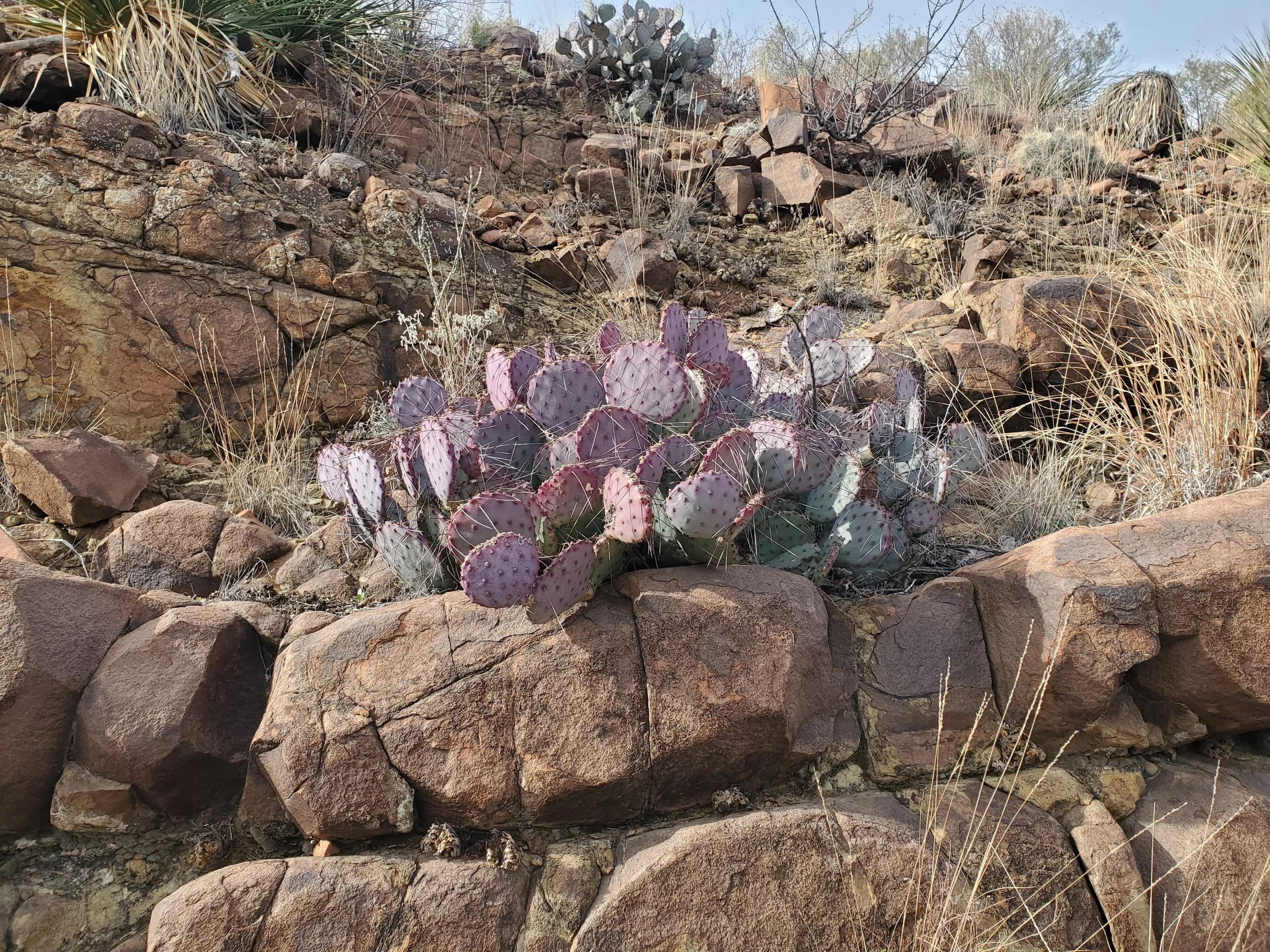 20240223_094611.jpg