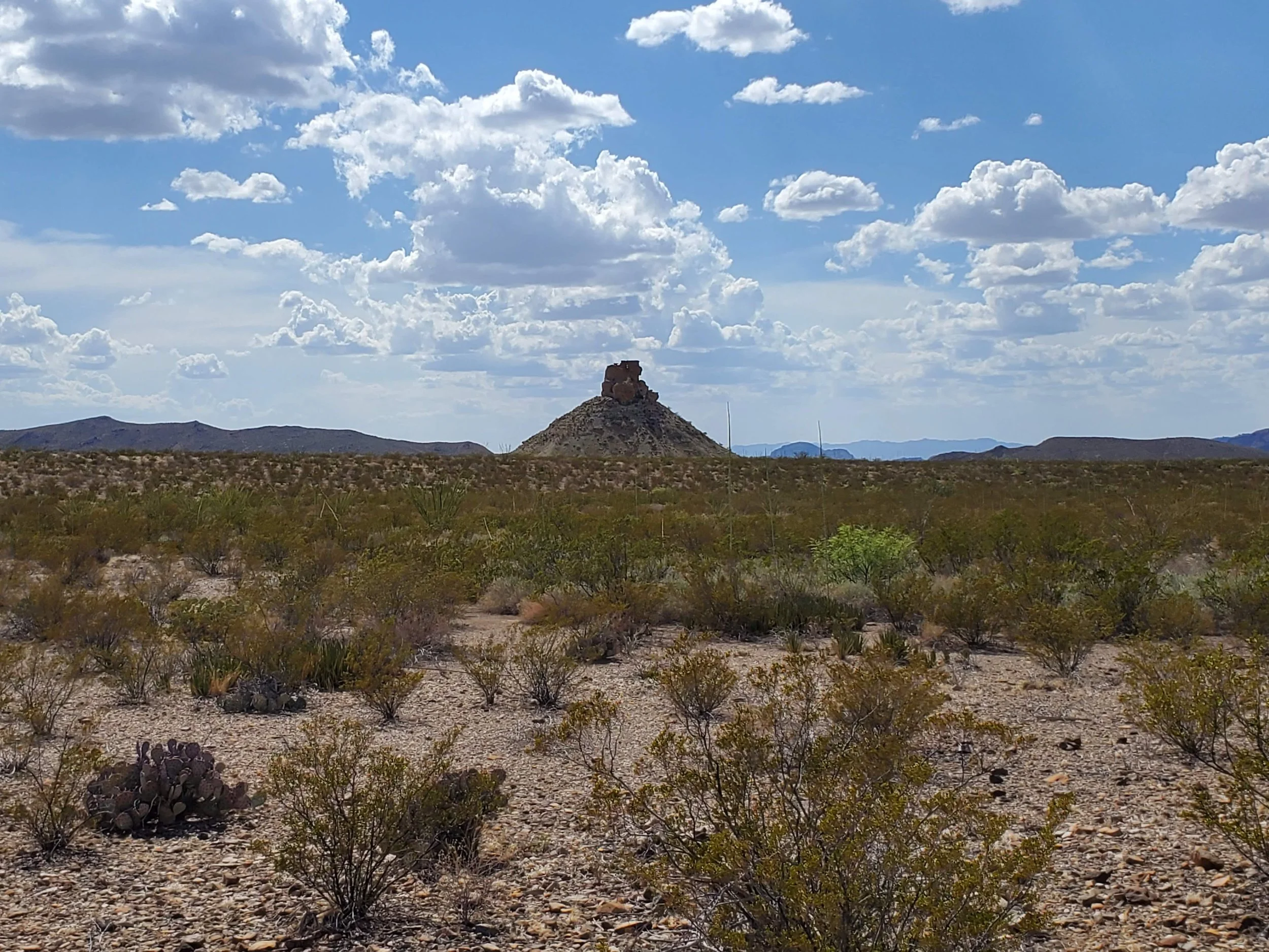20220808_165756.jpg