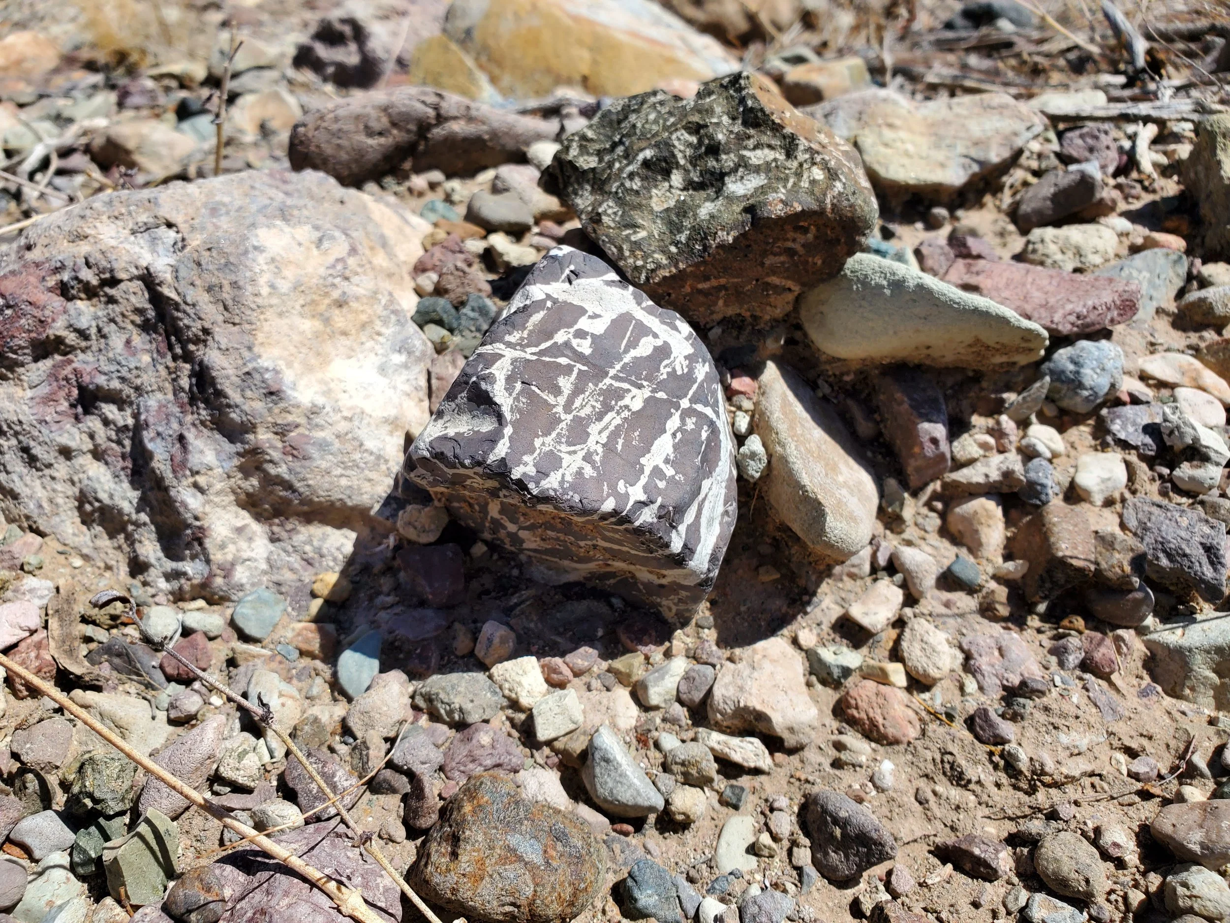 20220809_120413.jpg