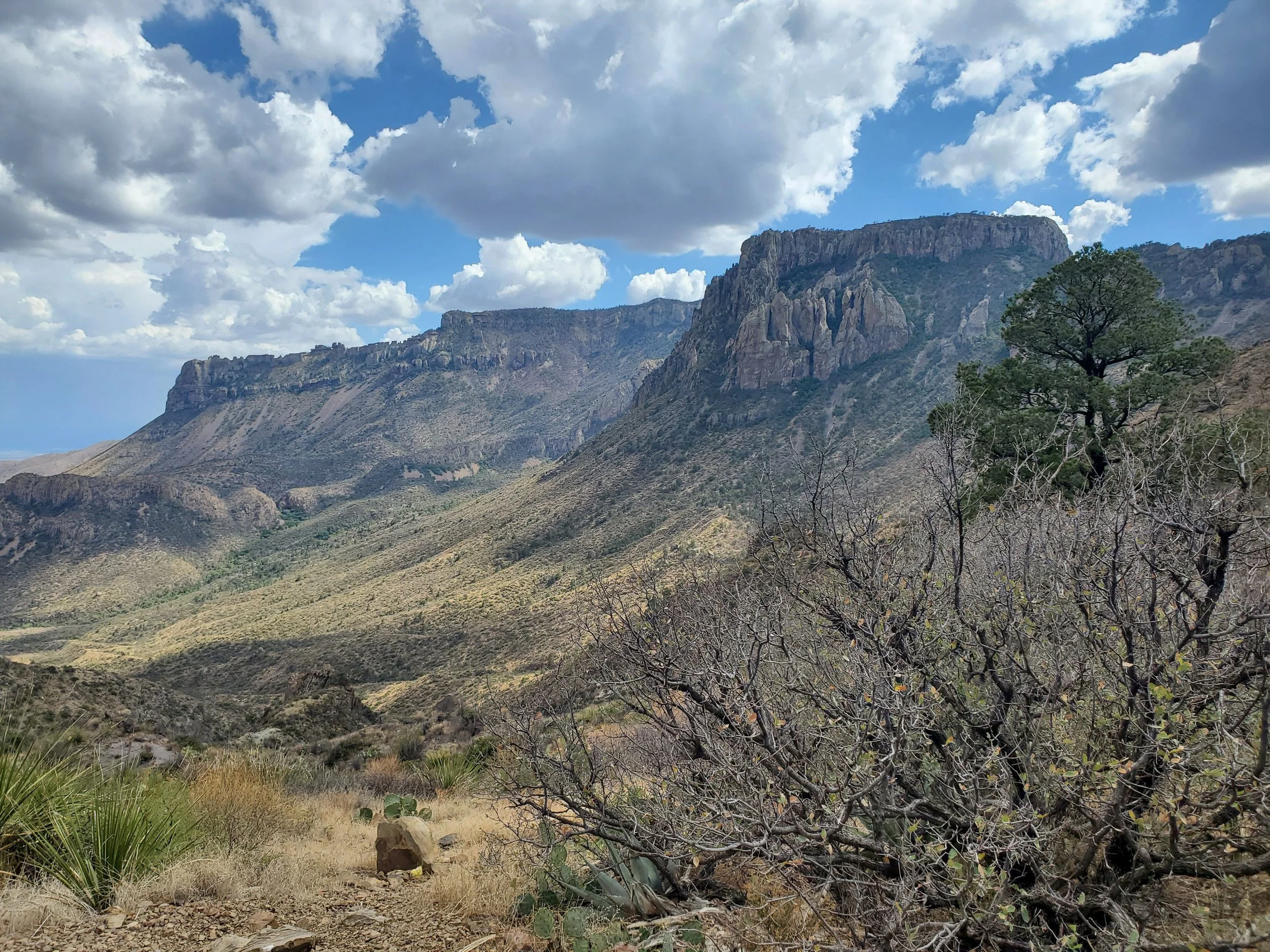 20220810_165457.jpg