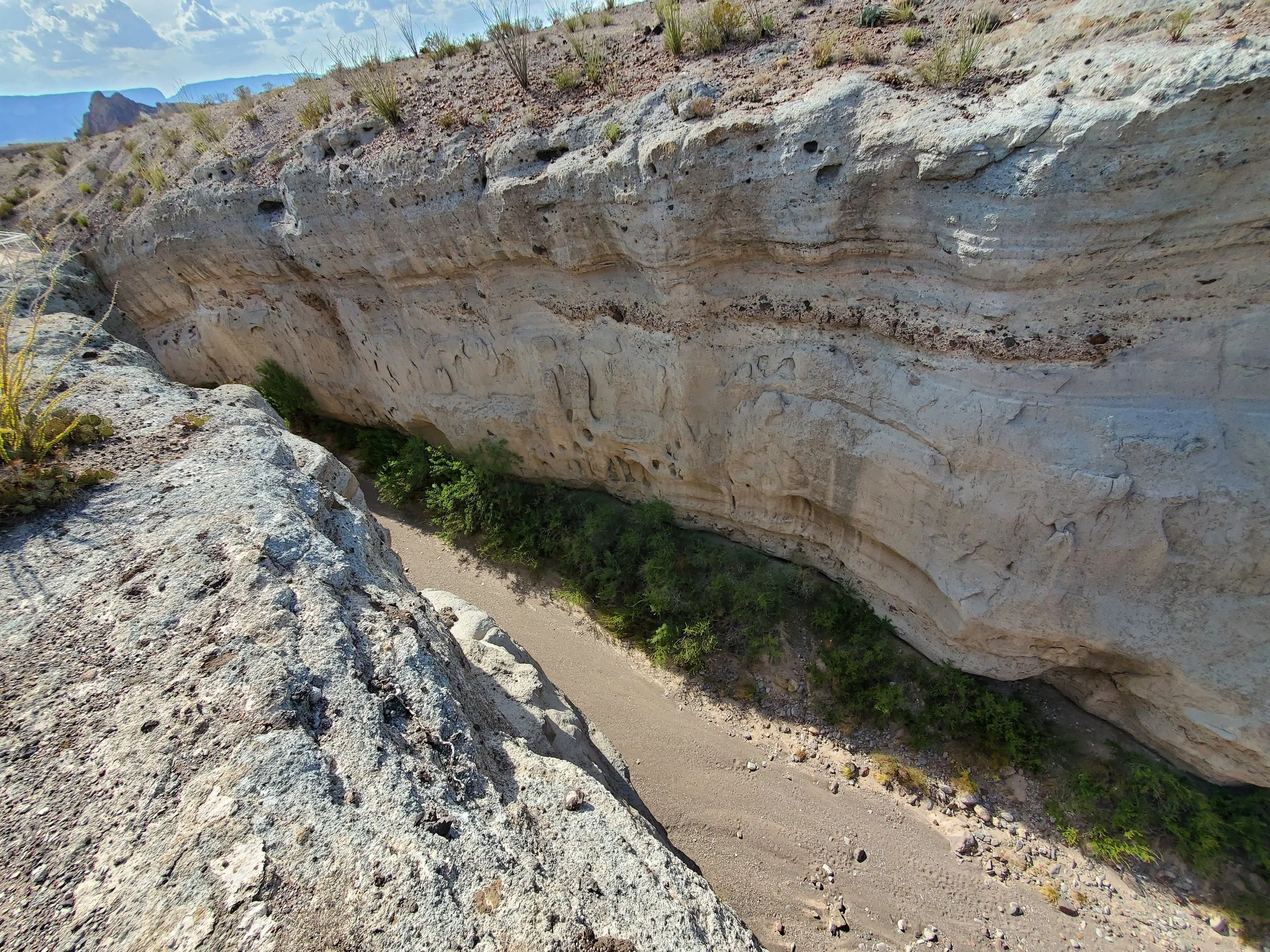 20220808_174211.jpg