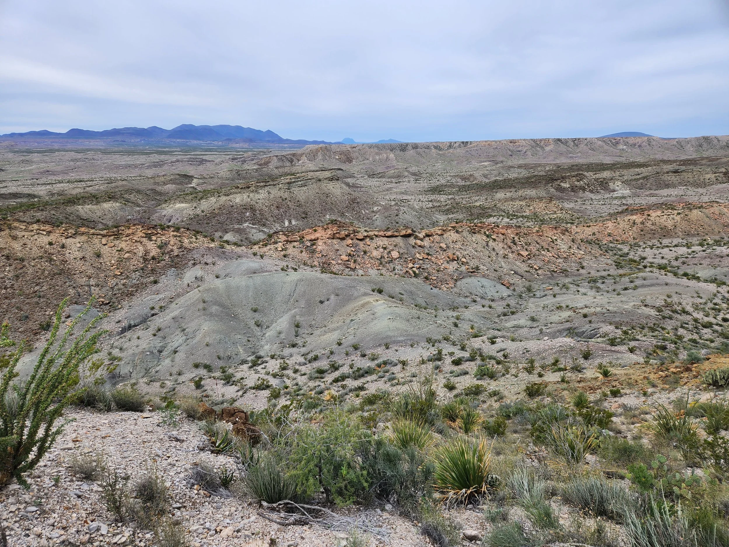 Aguja and Javelina Formation with high potential for dinosaur fossils. Desert landscape with rolling hills, sparse vegetation, and mountains in the background under a cloudy sky.