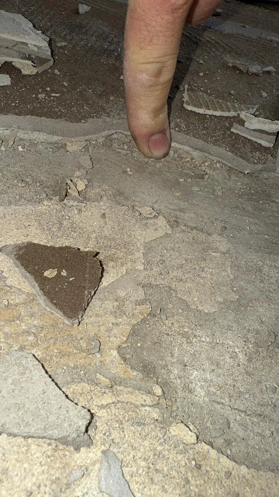 WhatsApp Image 2025-10-23 at 10.11.54 AM.jpeg