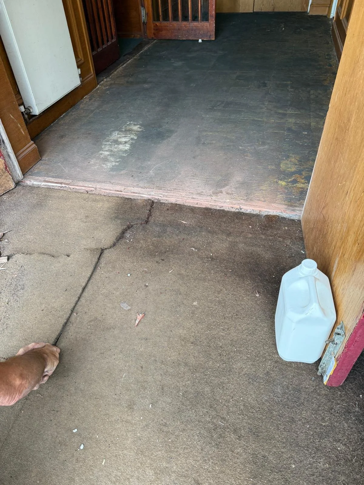 WhatsApp Image 2025-10-23 at 3.50.23 PM (1).jpeg