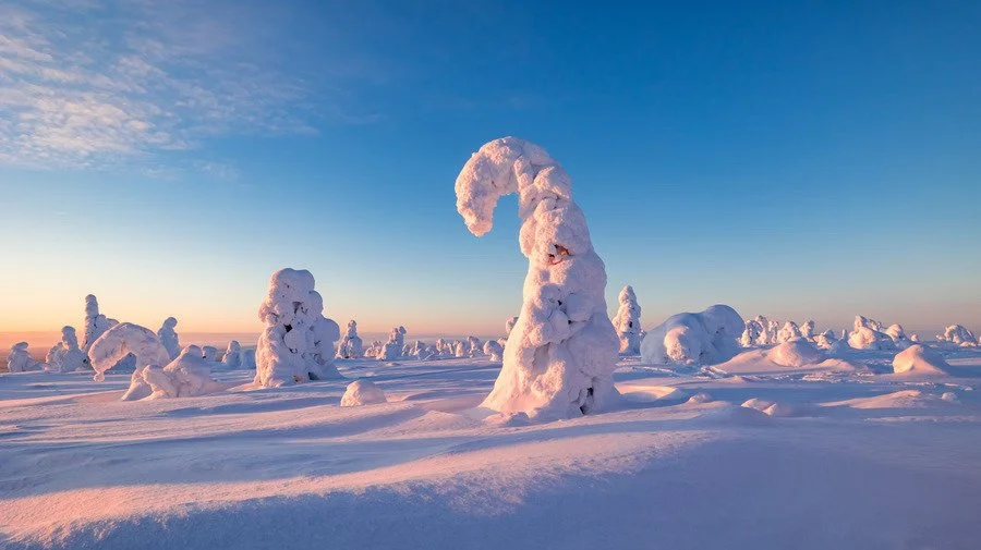 Snow-covered trees and landscape at sunrise or sunset in a winter scene.