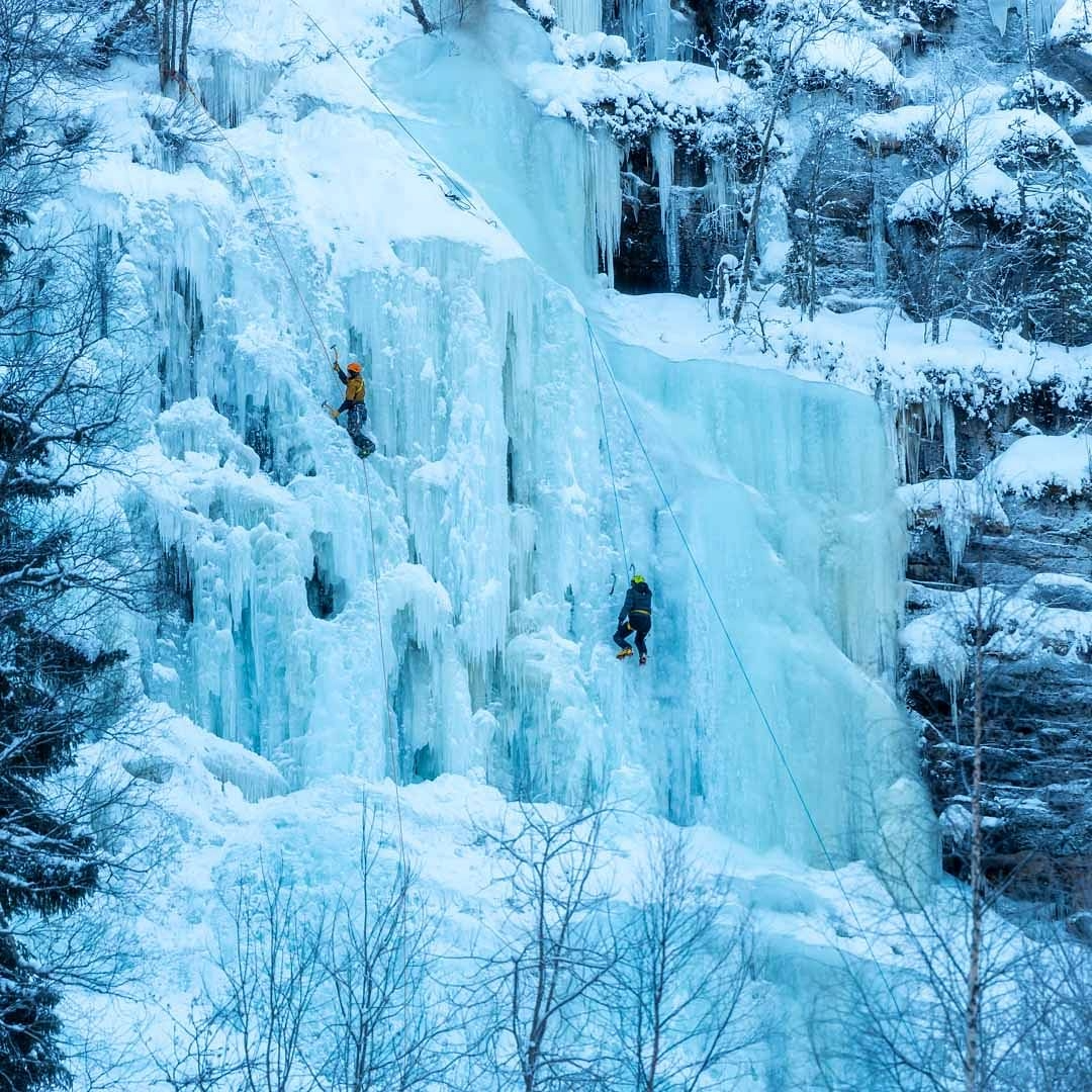 Two climbers ice climbing on a frozen waterfall in a snowy forested area.