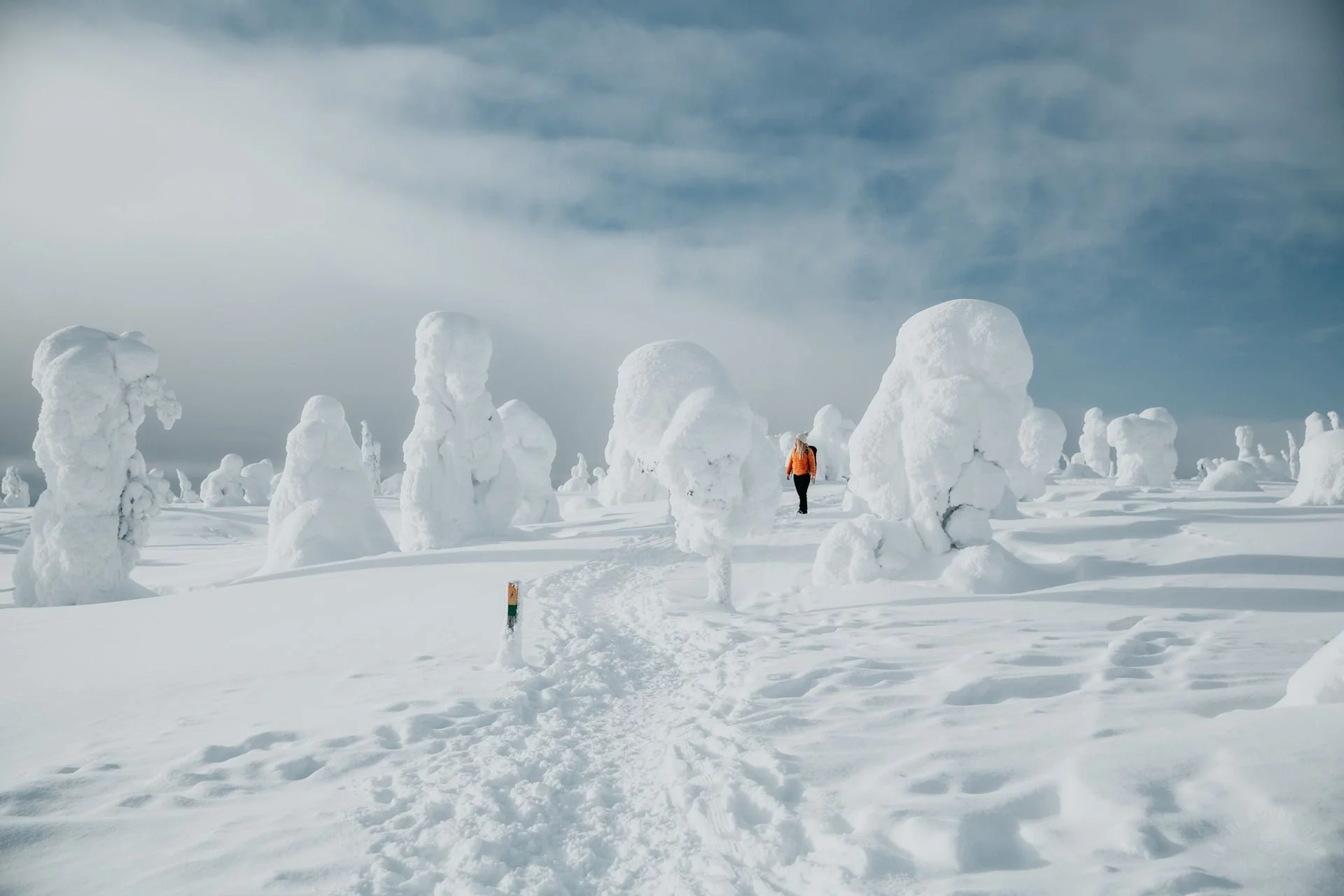 A person in an orange jacket walking through a snow-covered landscape with large snow-topped trees under a partly cloudy sky.