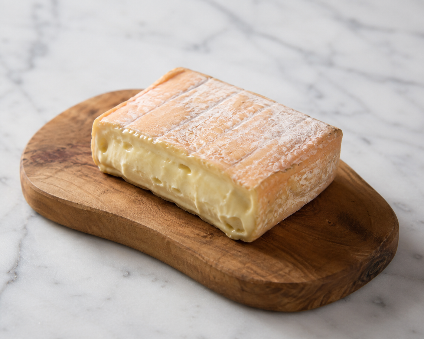 taleggio.png