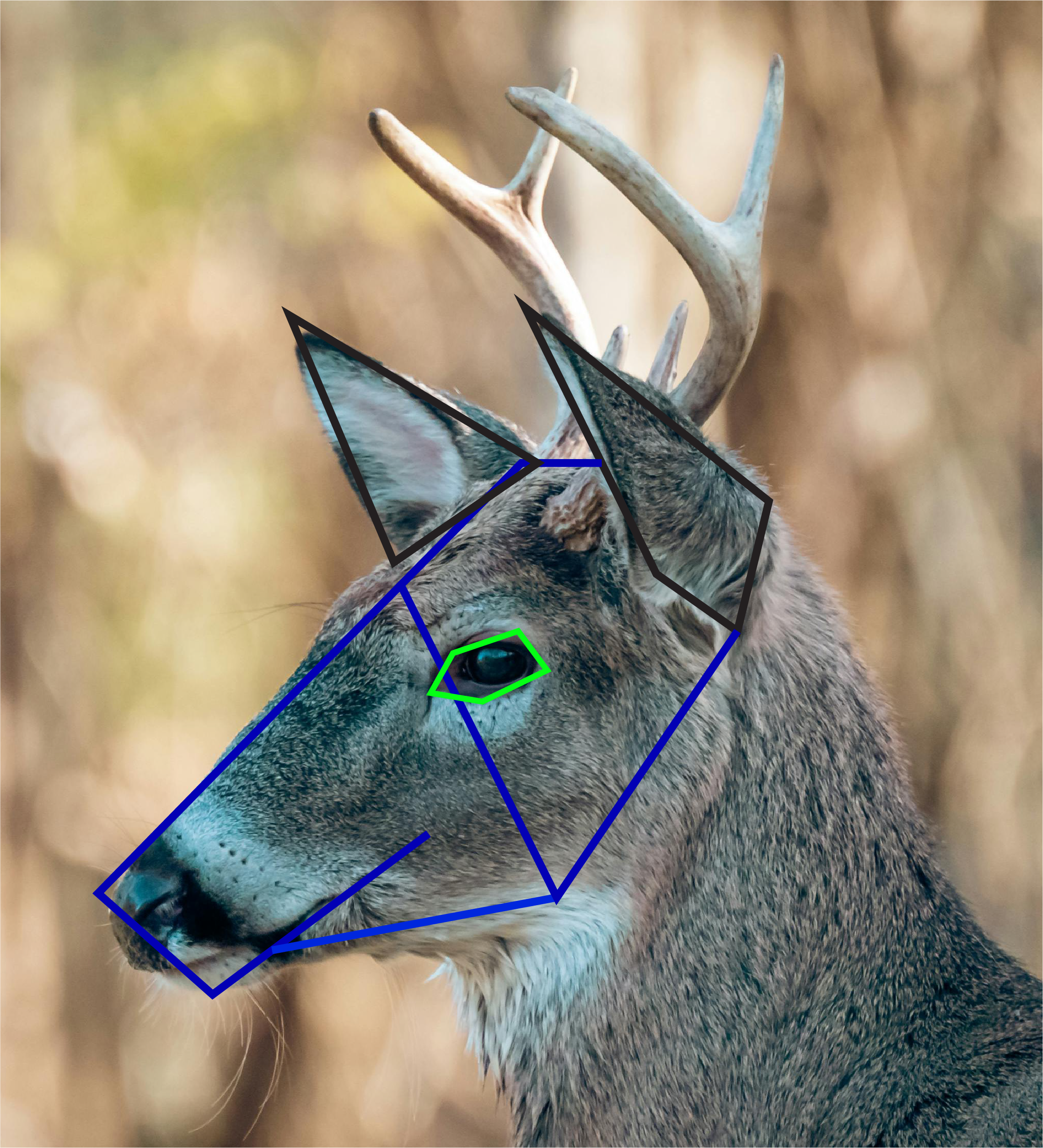 sideview.png