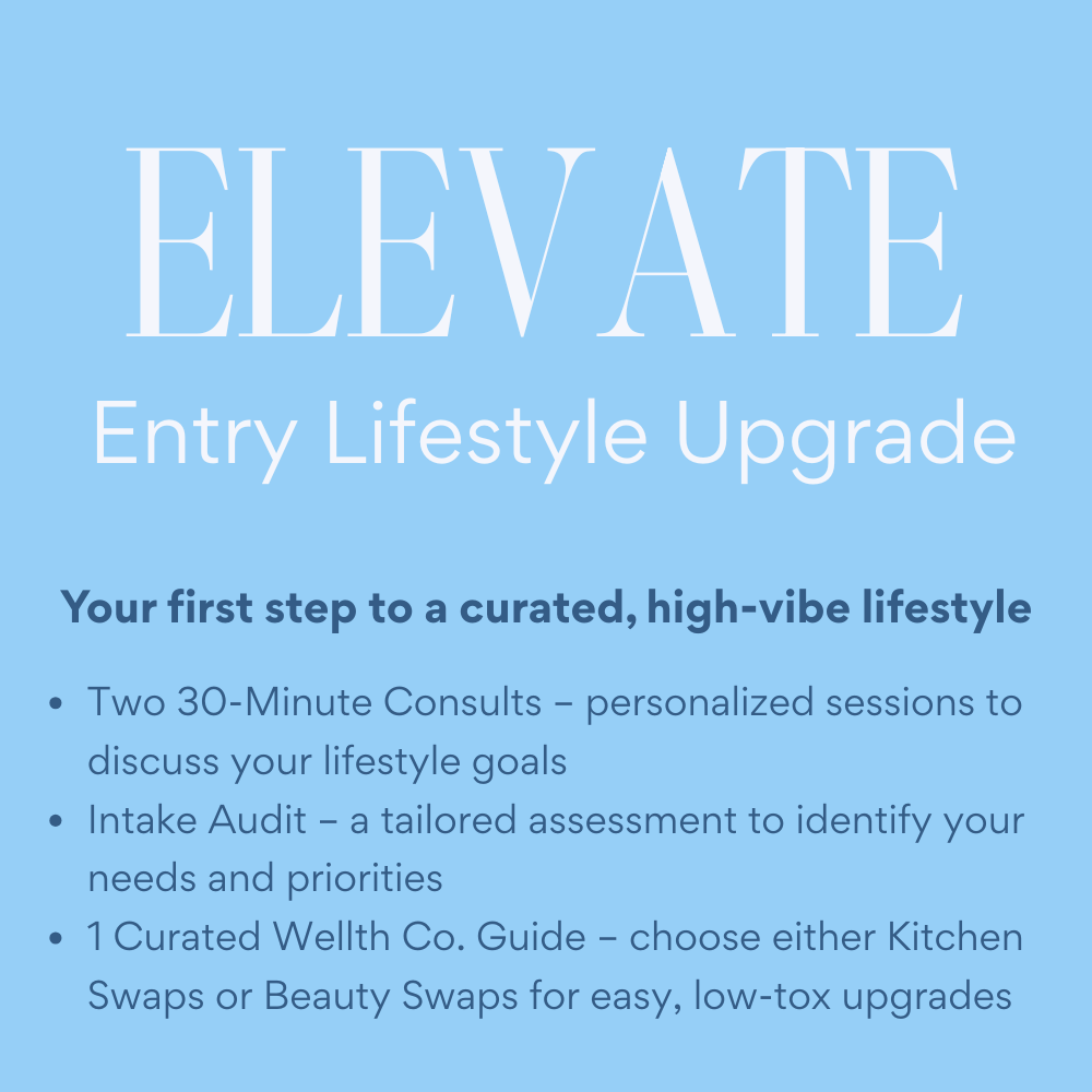 Blue promotional flyer with large white text that says "ELEVATE", followed by smaller white text that reads "Entry Lifestyle Upgrade." Below, a paragraph in bold blue text says "Your first step to a curated, high-vibe lifestyle." The flyer lists three bullet points: two 30-minute consultations, an intake audit, and a curated Wellth Co. guide with options for kitchen or beauty swaps.