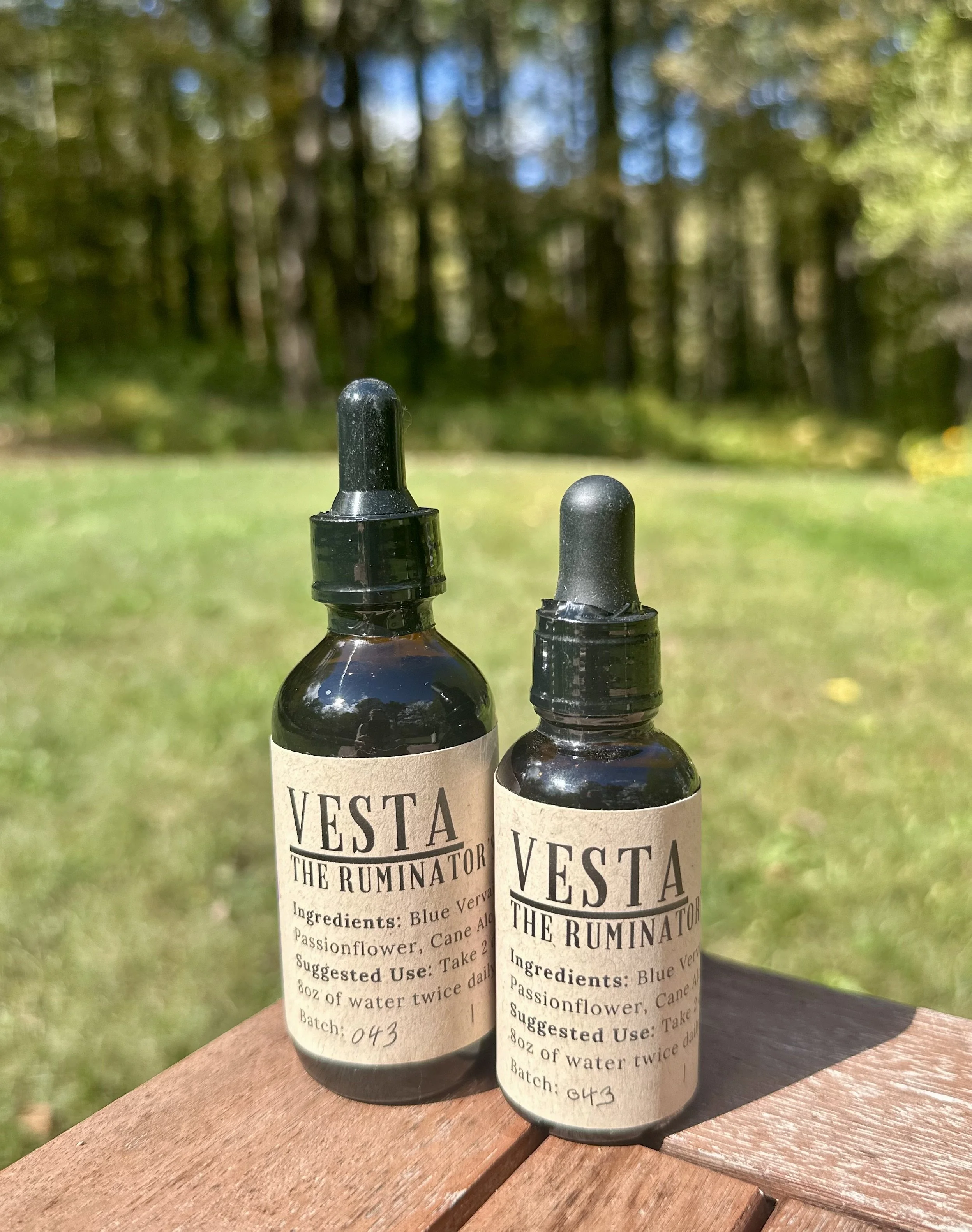 Vesta - **The Ruminator's Remedy**