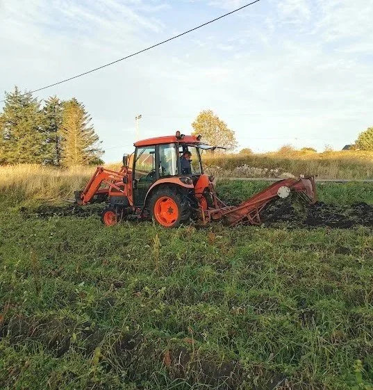 En orange traktor i en åker.