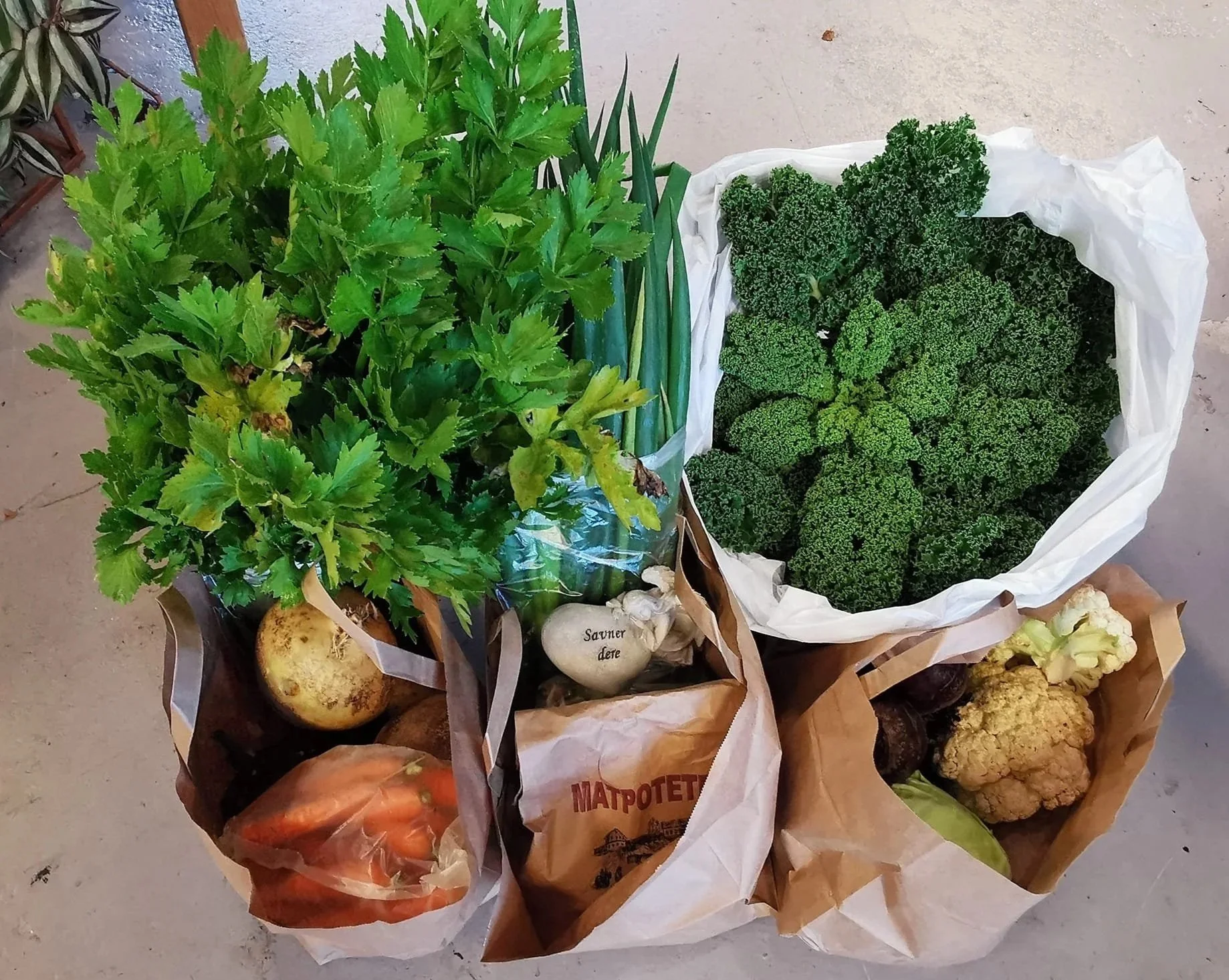 Nærbilde av poser med grønnsaker.