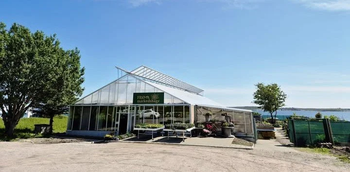 Et drivhus med planter.