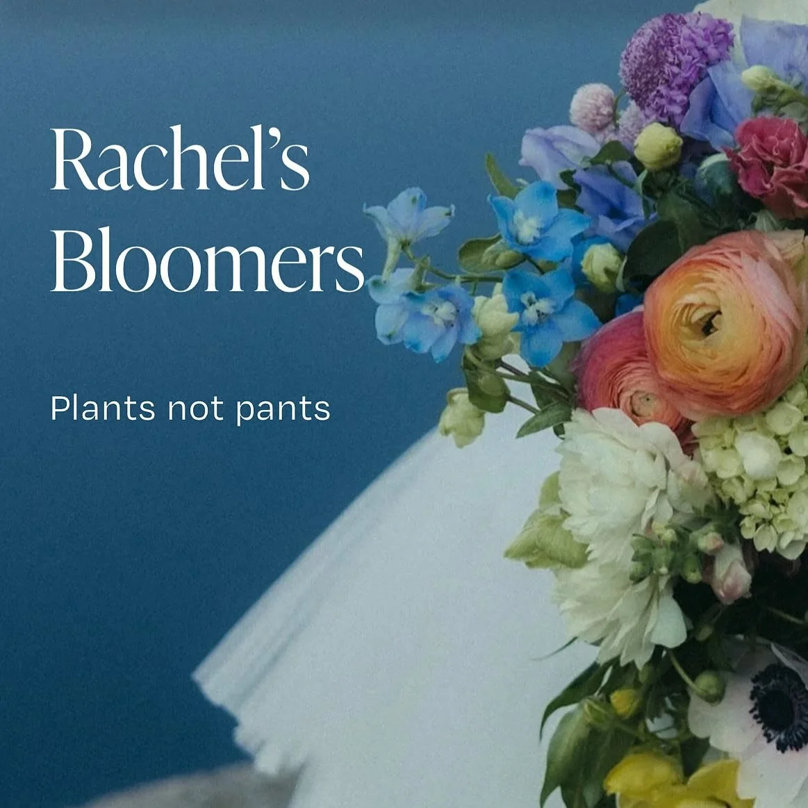 ✨NEW WEBSITE! Come visit at the link in bio.

#plantsnotpants