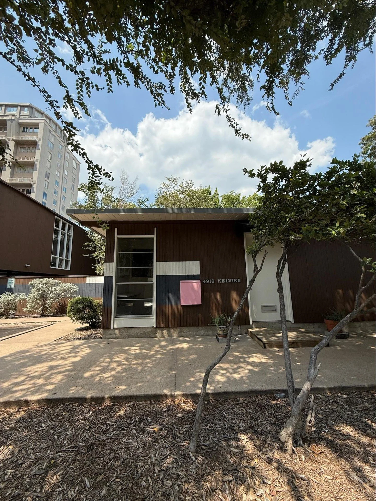 There are only a few days left to experience the incredible "New Work" exhibit featuring Fernando M. Diaz, Tempest Williams, and Stephen Starr. 

This is a collection you need to see in person - now through February 20th.